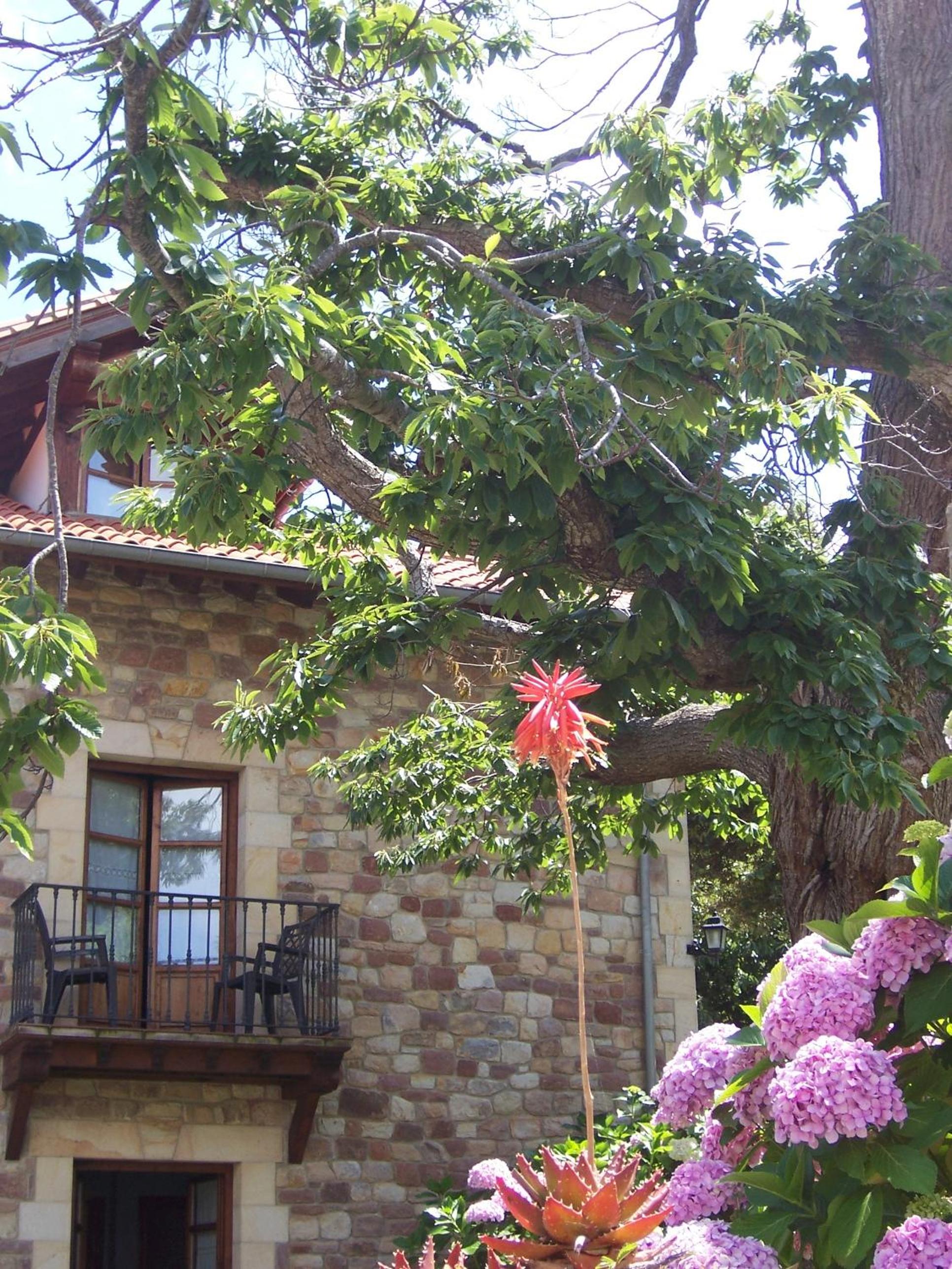 Posada Fuentedevilla
