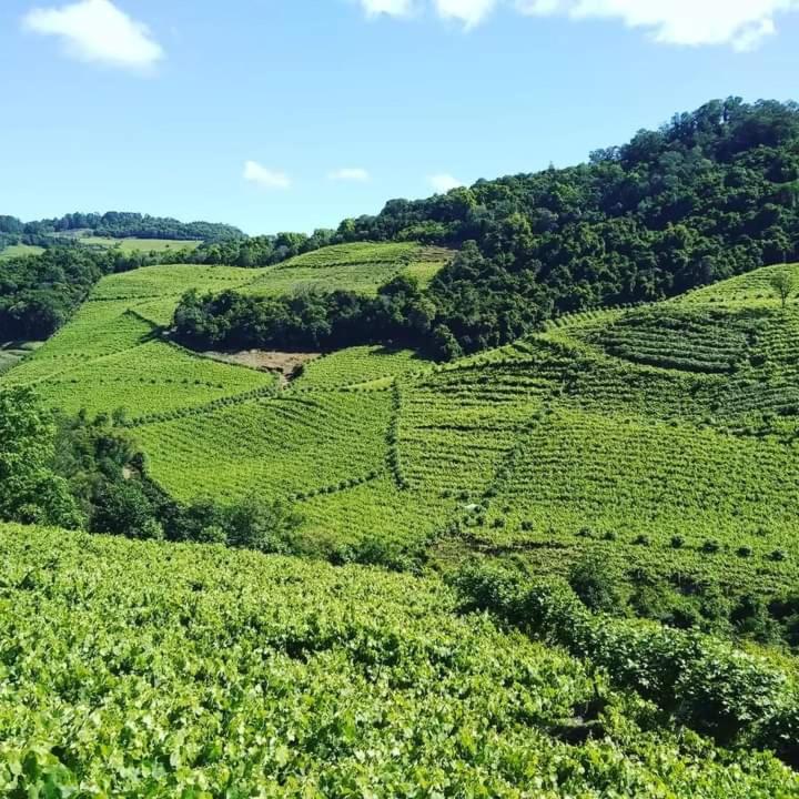 Casa Vista do Vale próxima ao Vale dos Vinhedos