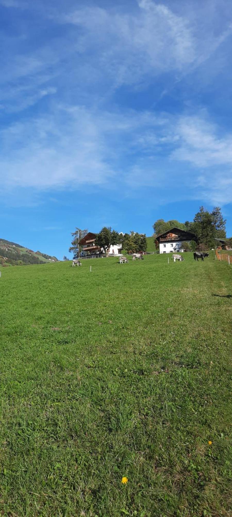 Photo 33