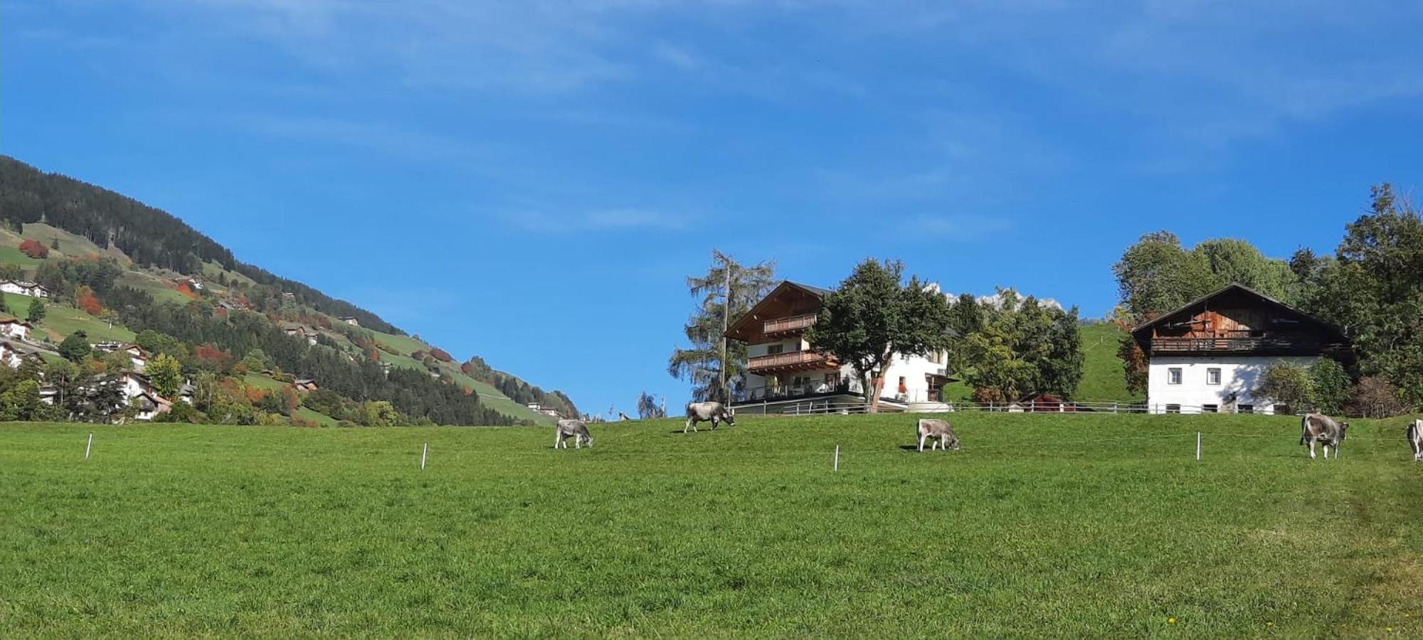 Baumannhof view 3
