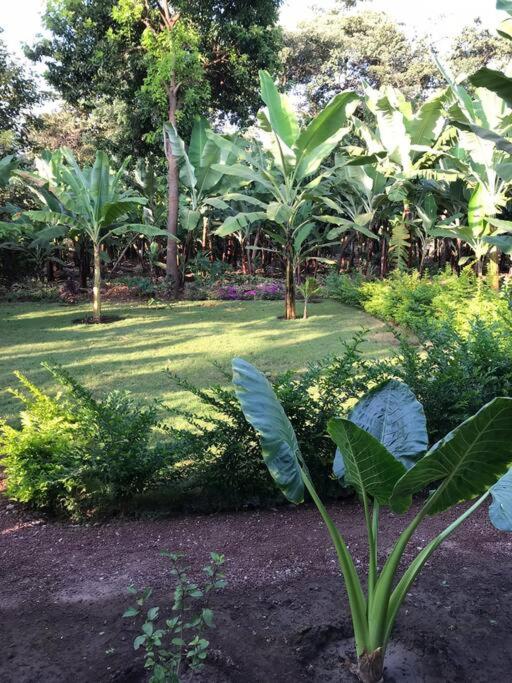 The Hondo Hondo House, Mto wa Mbu, Tanzania view 2
