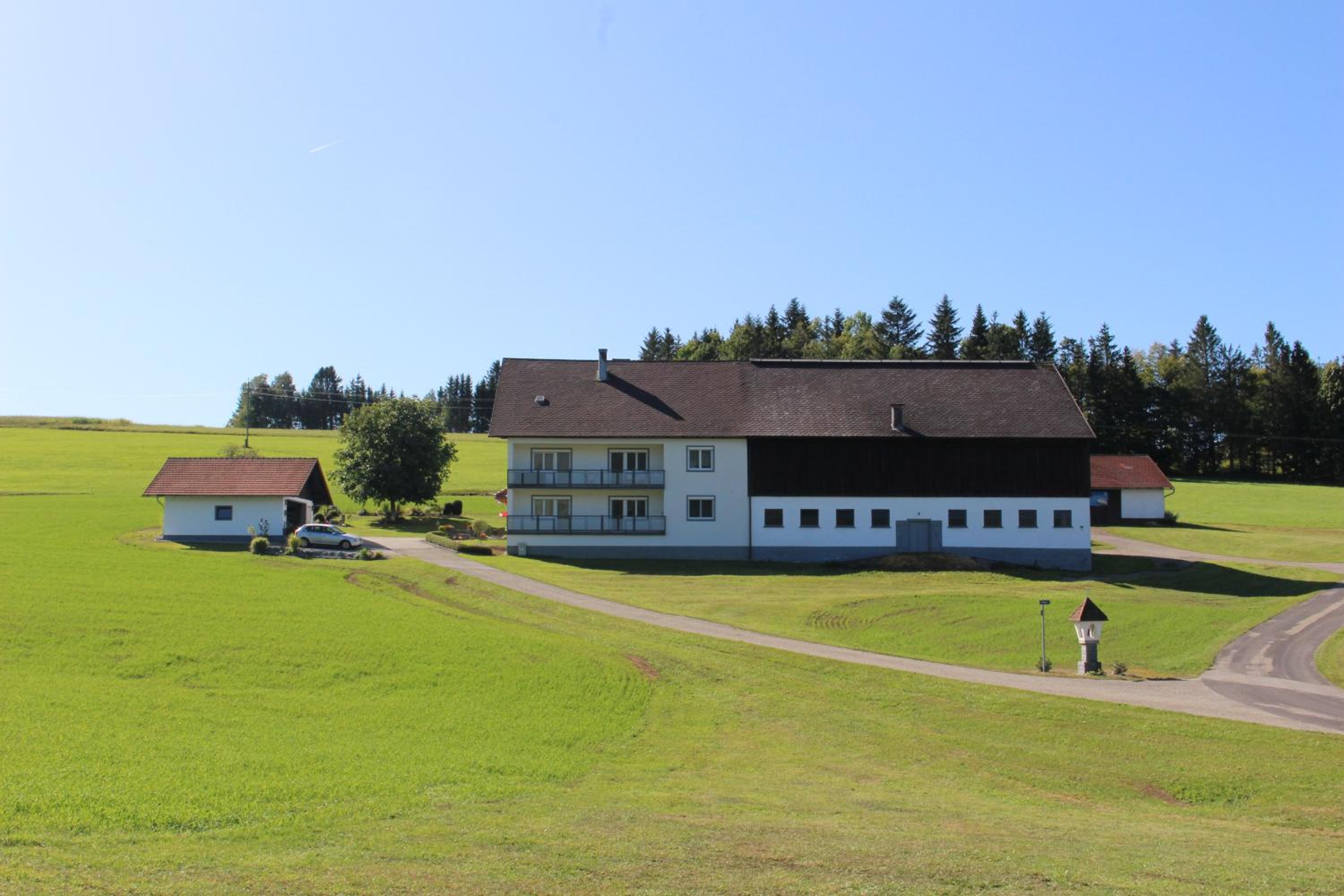 Photo 20