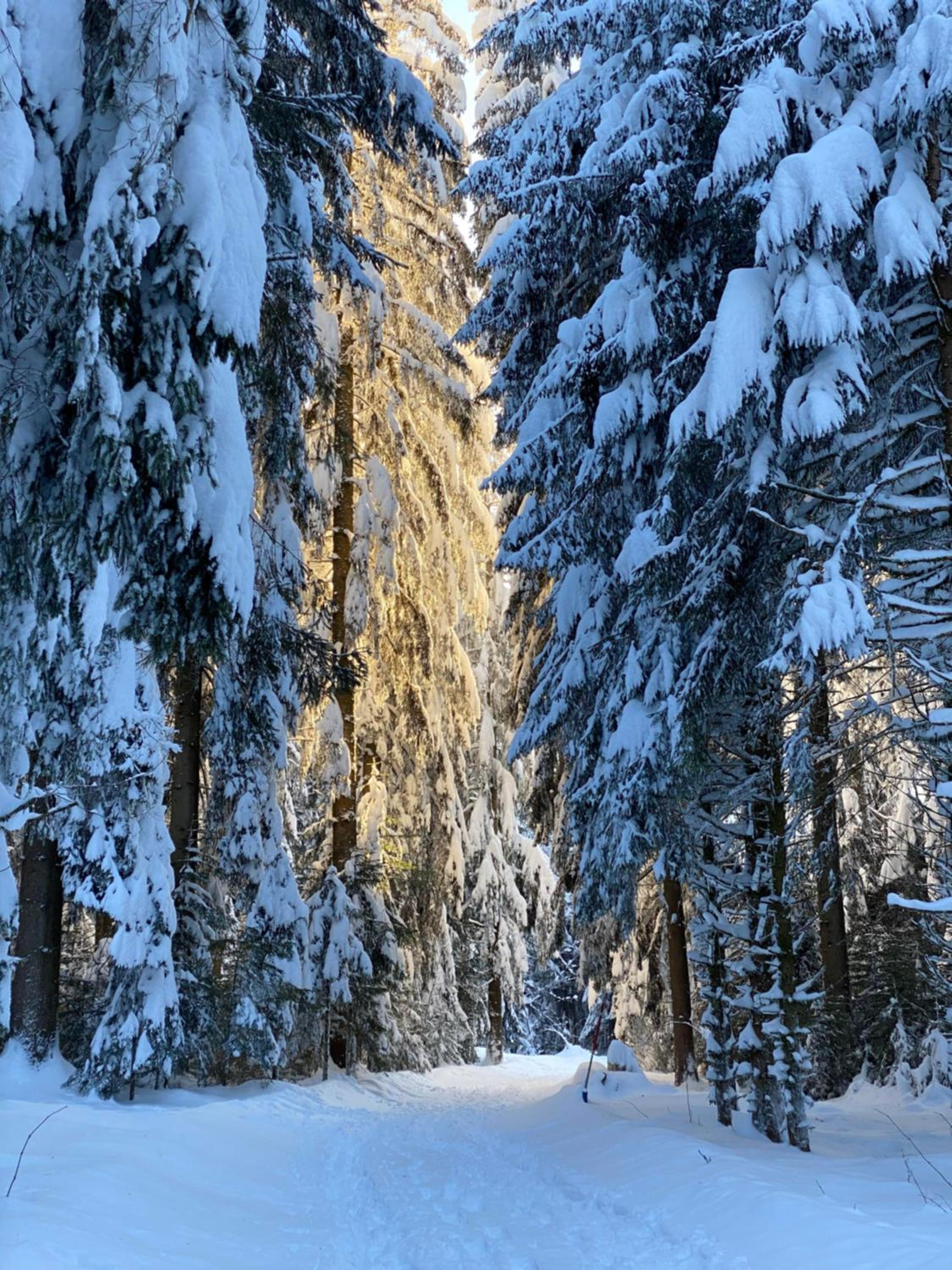 Gähwindehof Mountain Ranch Resort
