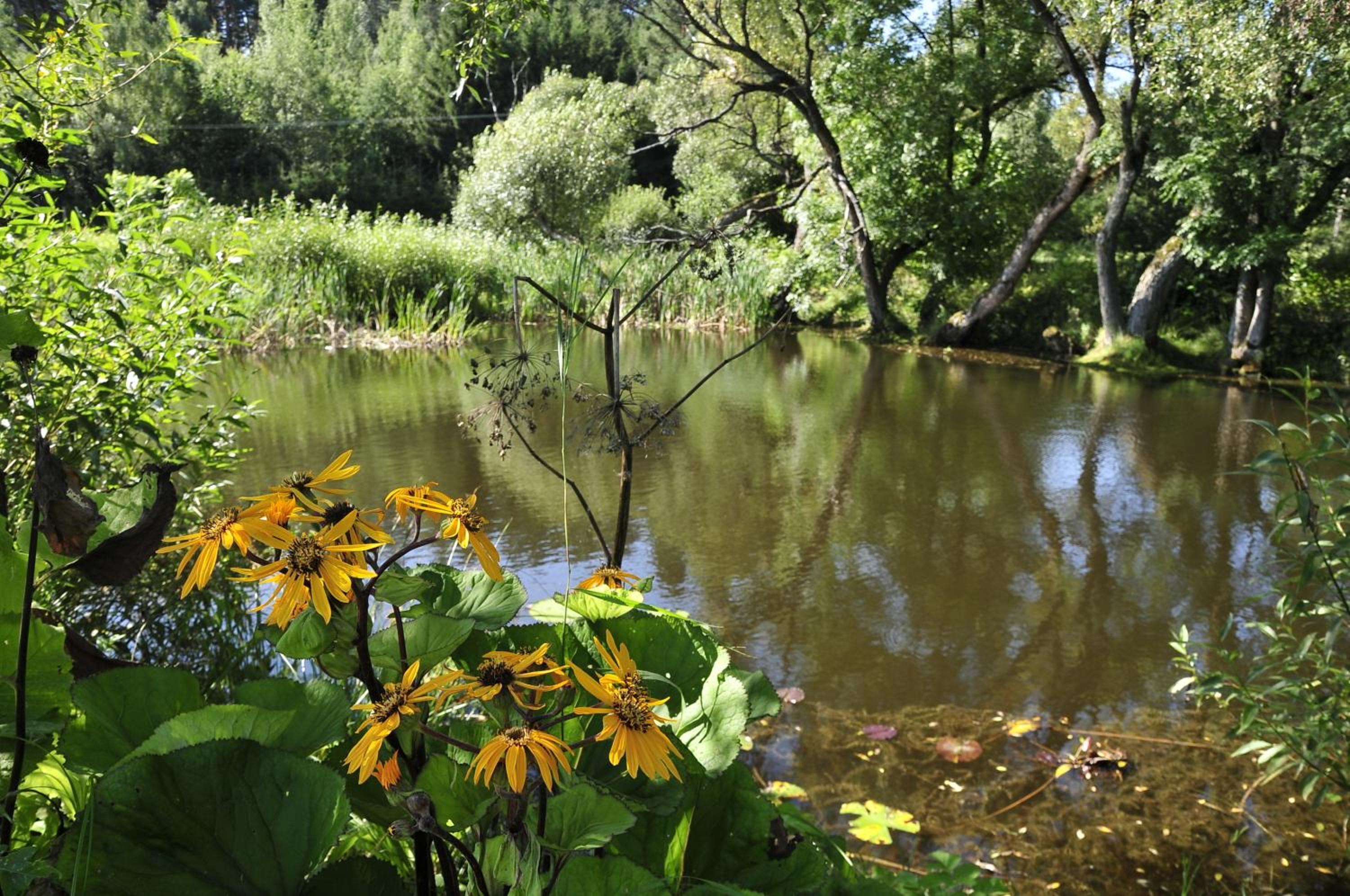 agroturystyka Orzechowe Wzgórze