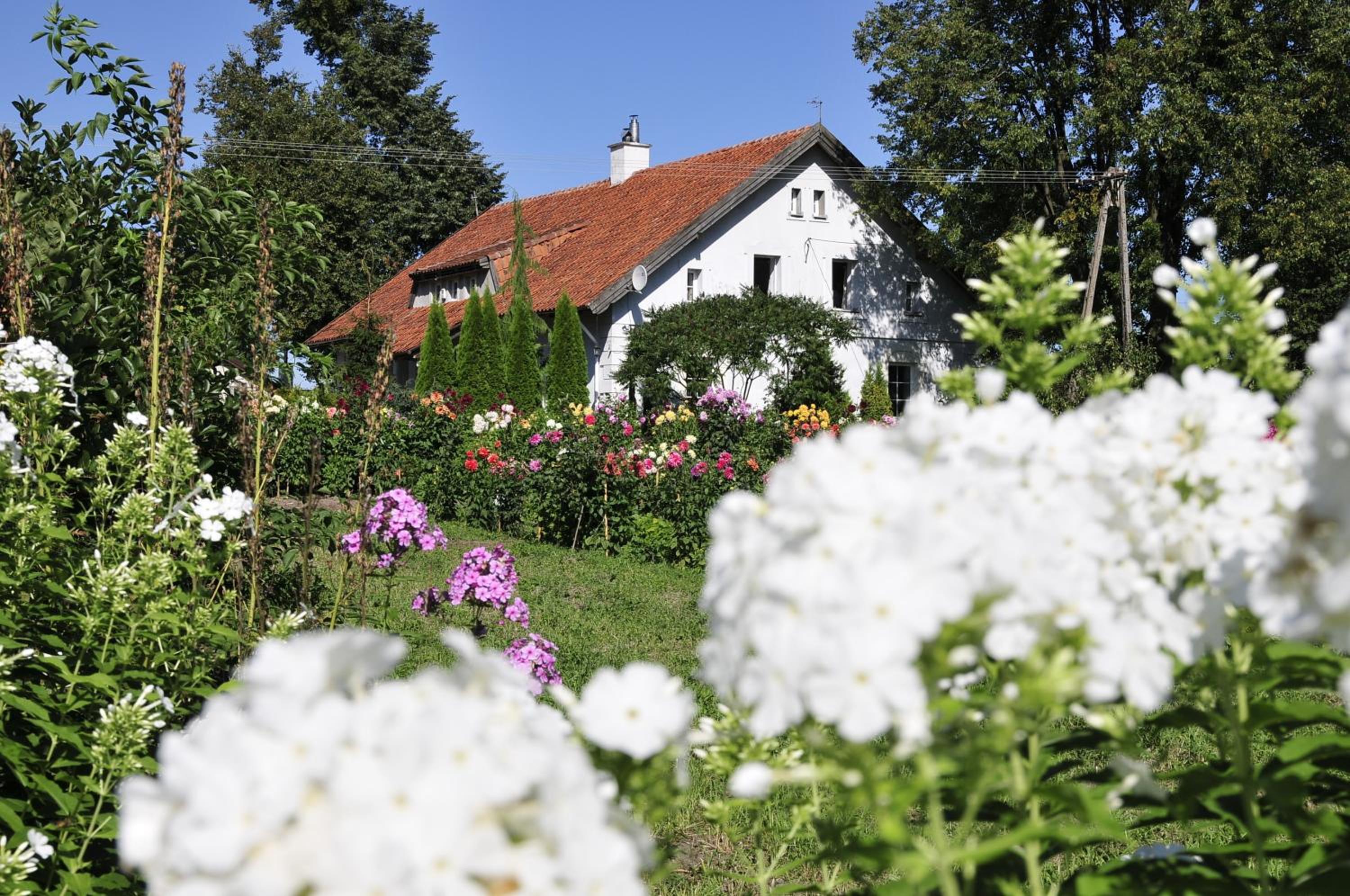 agroturystyka Orzechowe Wzgórze