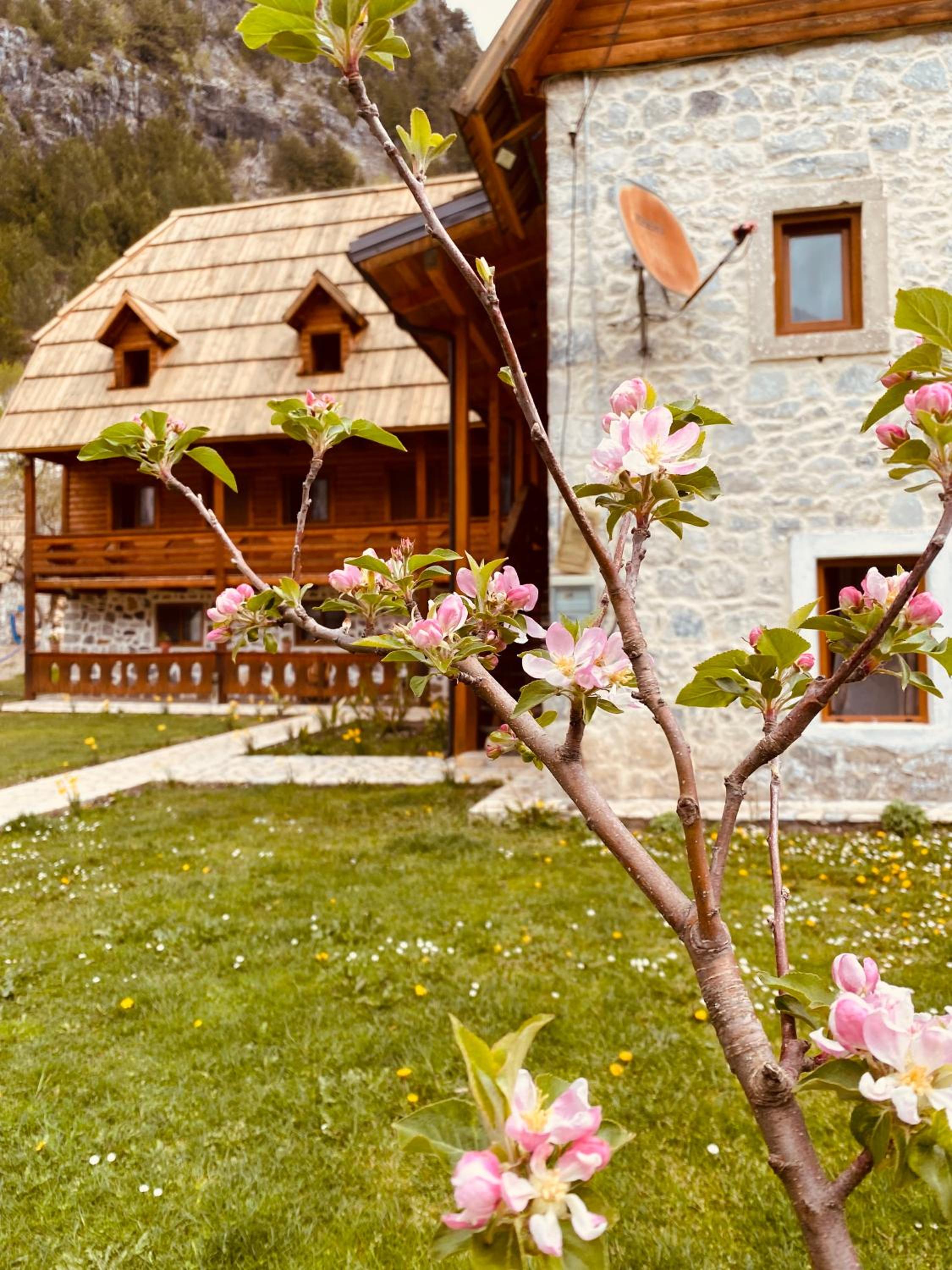 Guesthouse Prrockaj Theth