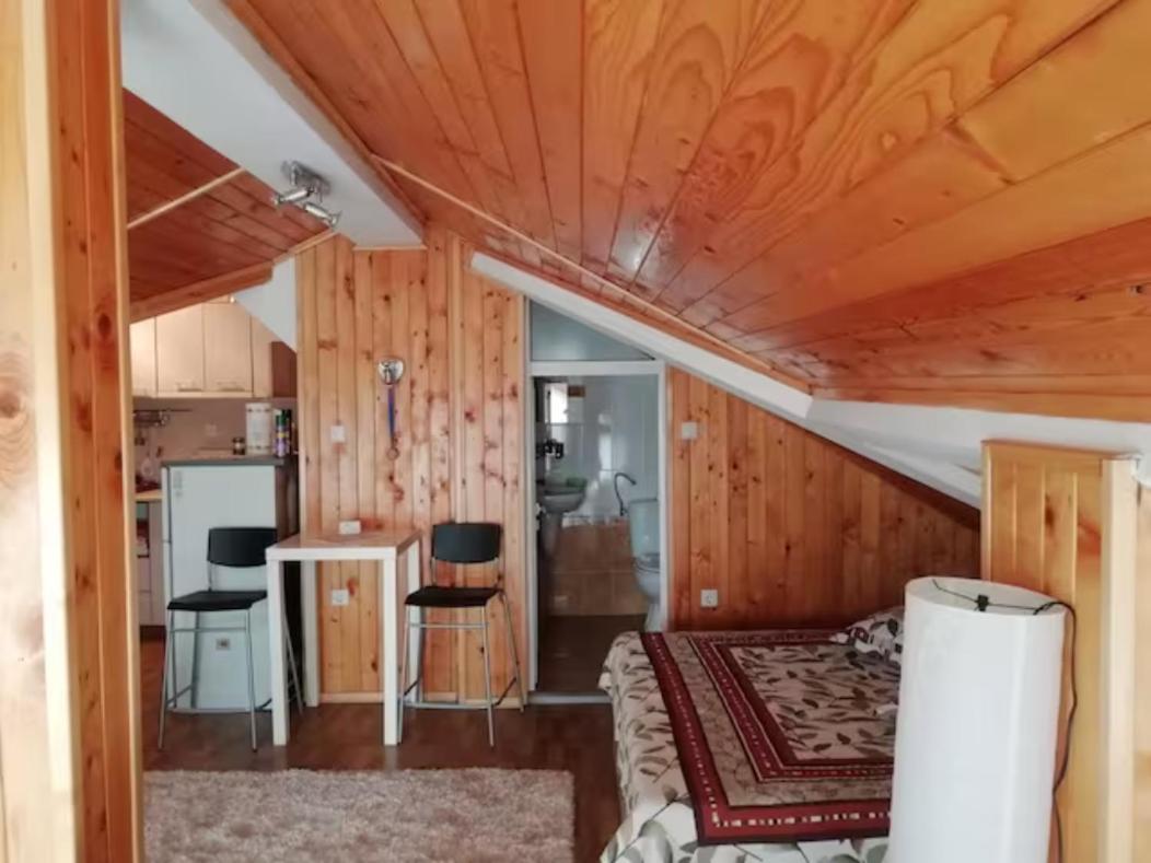 Green Loft Apartment-Rose