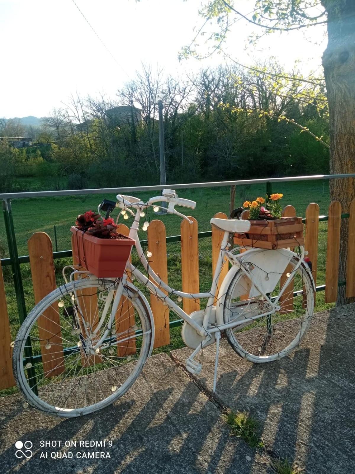 Il Sentiero Bed & Breakfast view 4