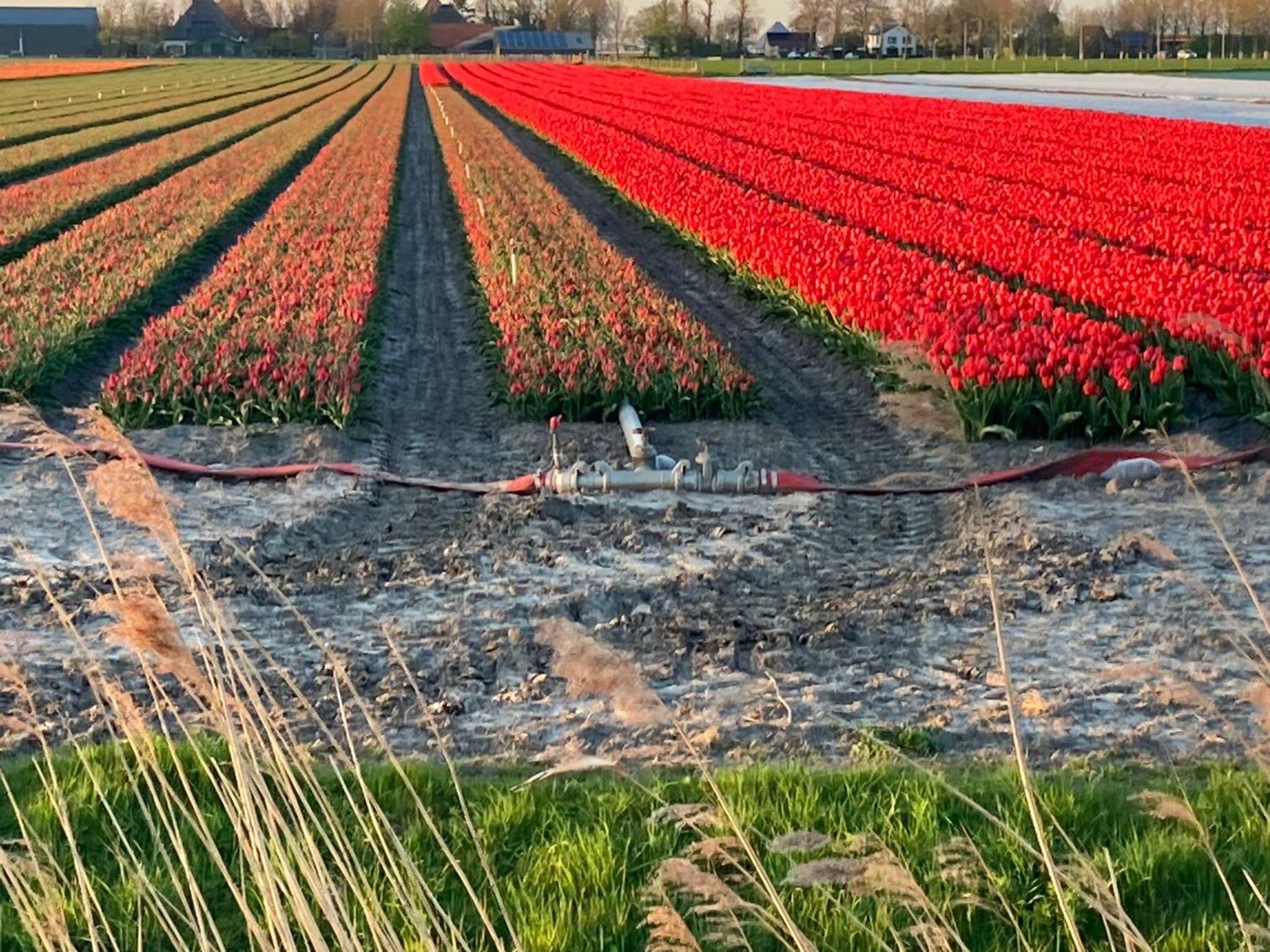 de Zuiderstolp