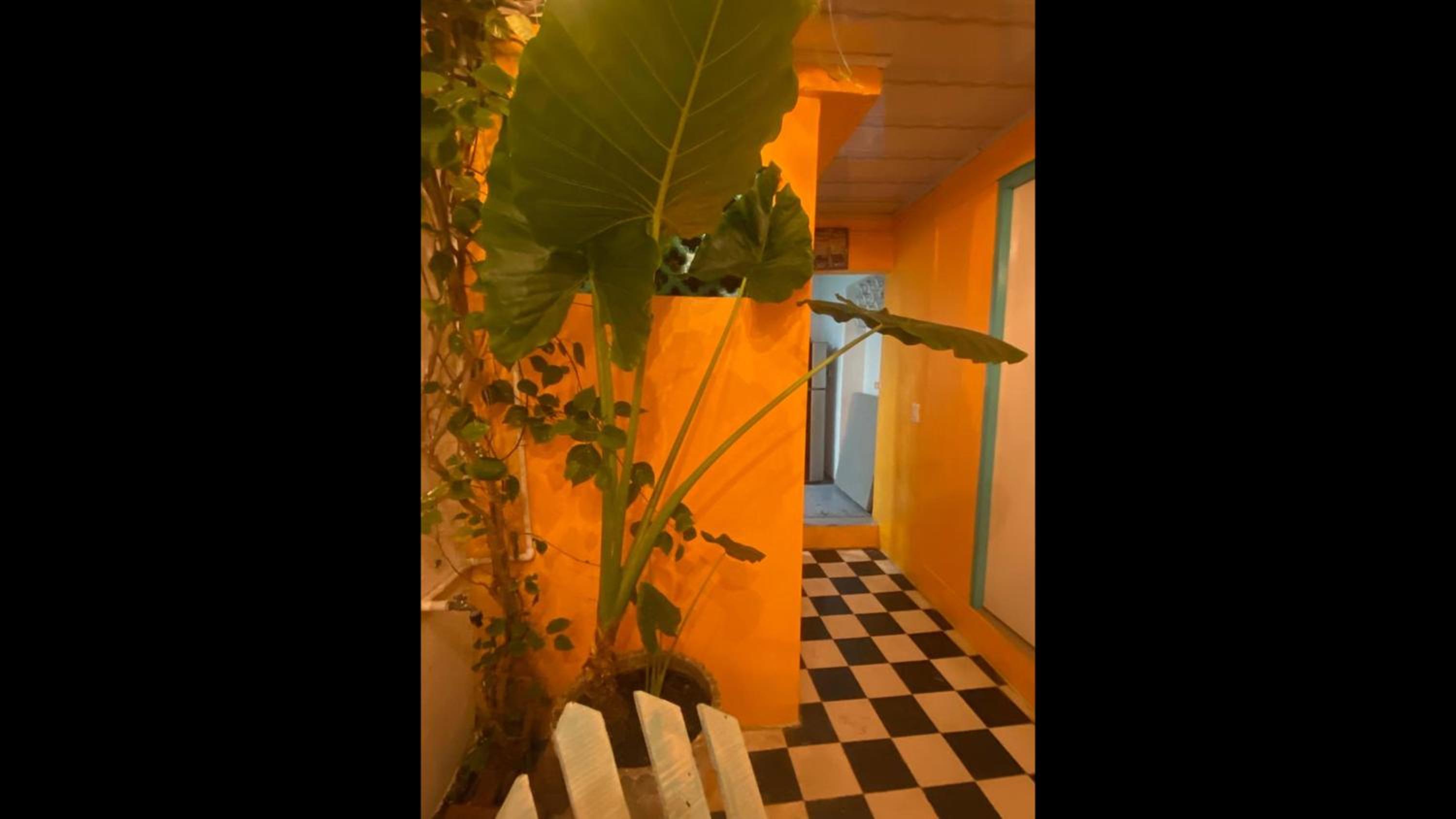 4cr-1M 4 Bedroom House In Getsemani With Air Conditioning And WIFI