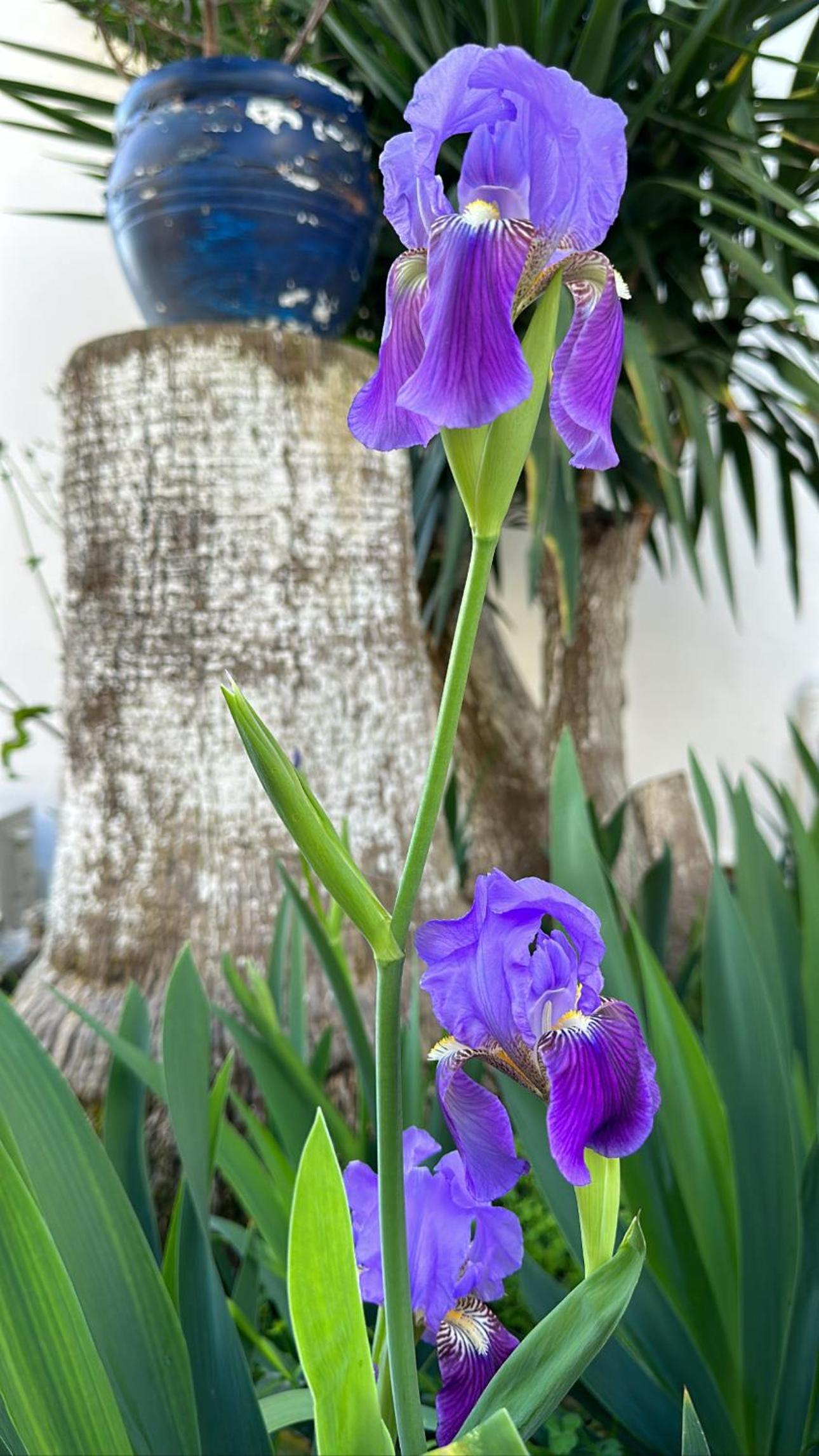 NATURELLA APART HOTEL - Image 33
