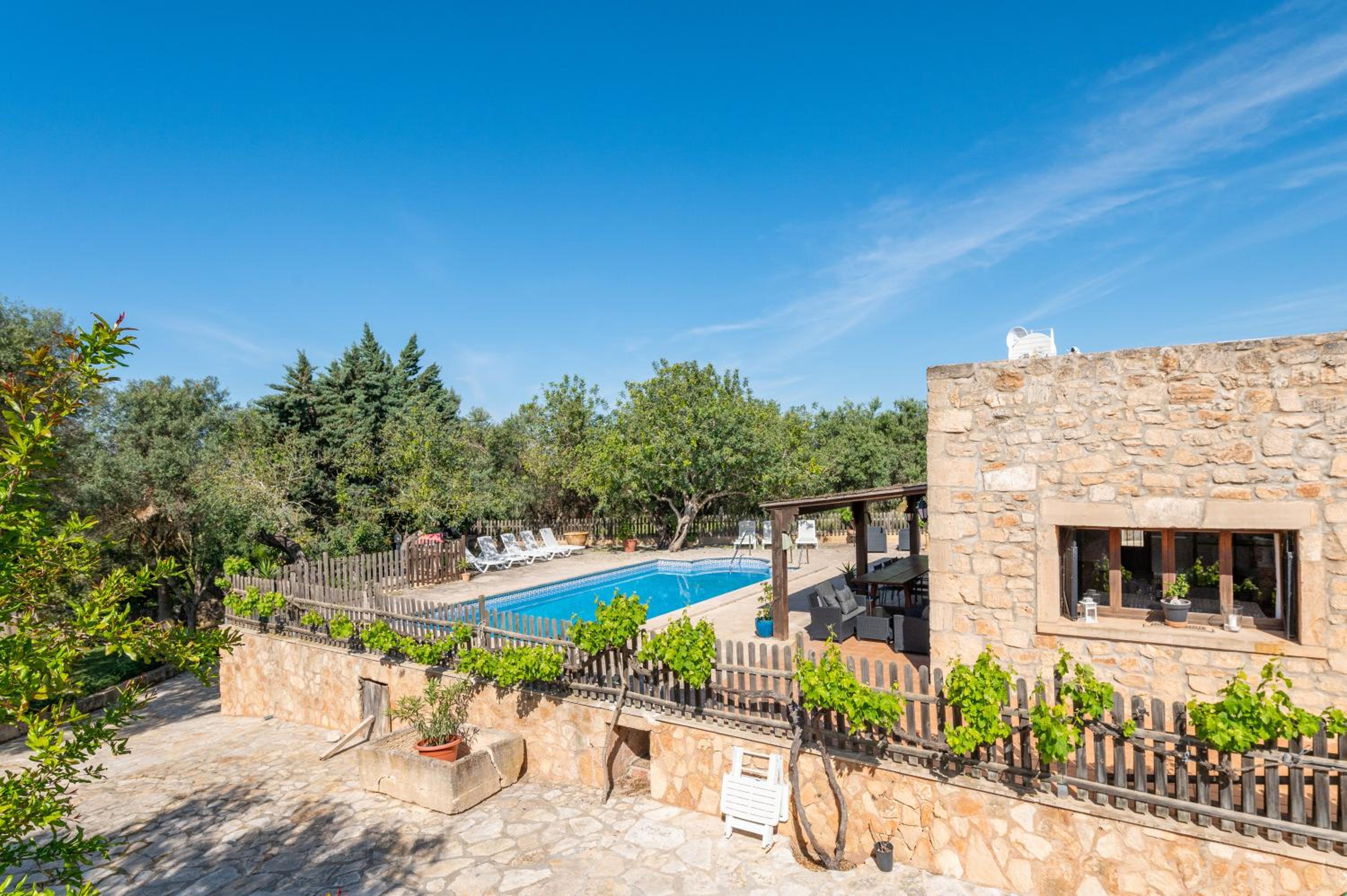 Finca Can Muvi