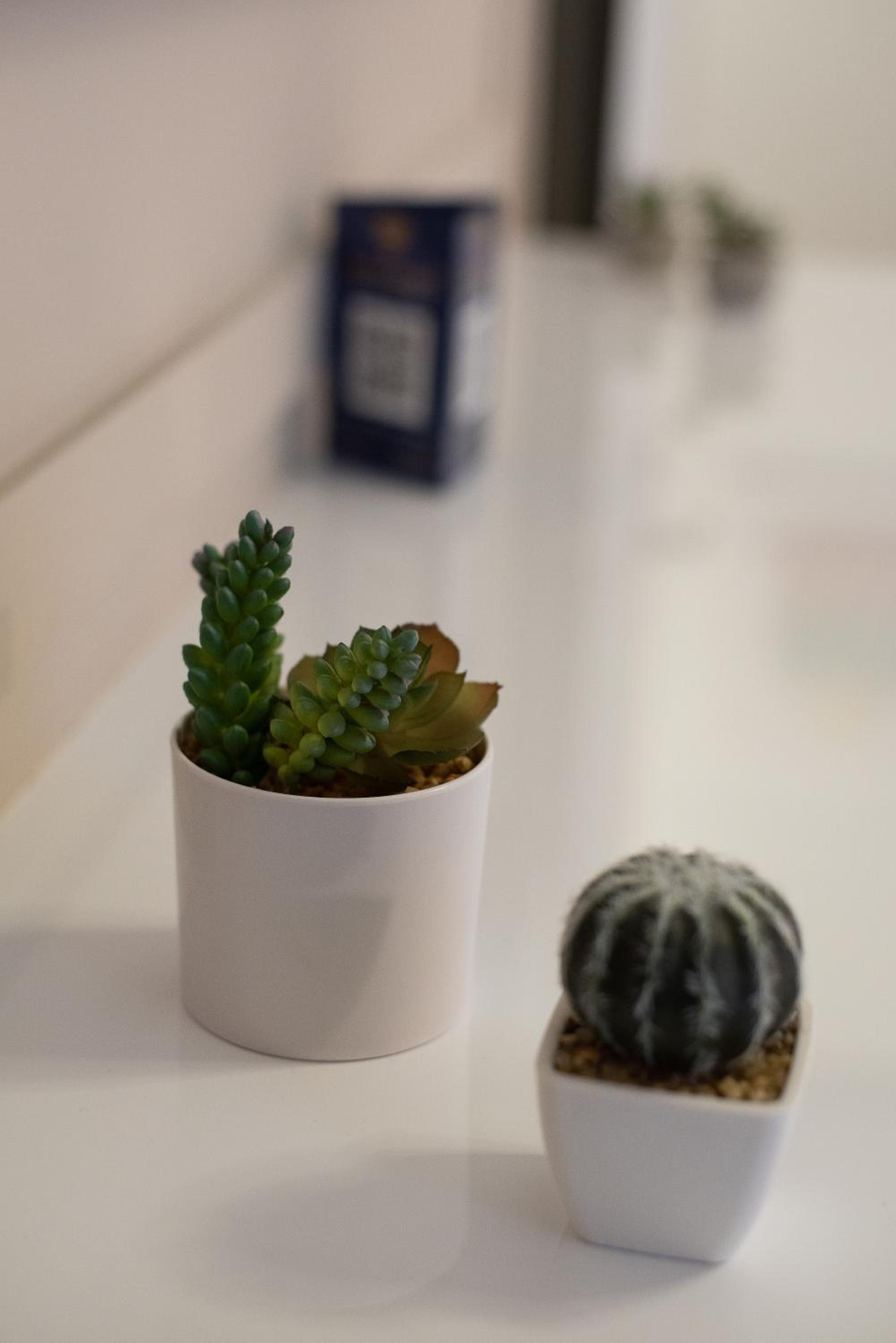 MEDLUXE COZY APARTMENT!