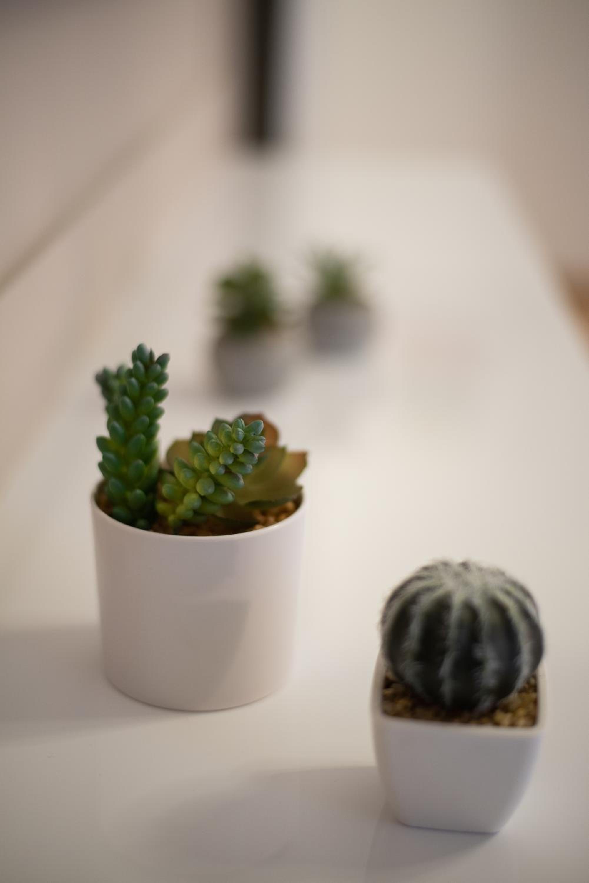 MEDLUXE COZY APARTMENT!