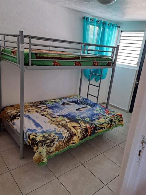 location Maison Basse-Terre GUADELOUPE