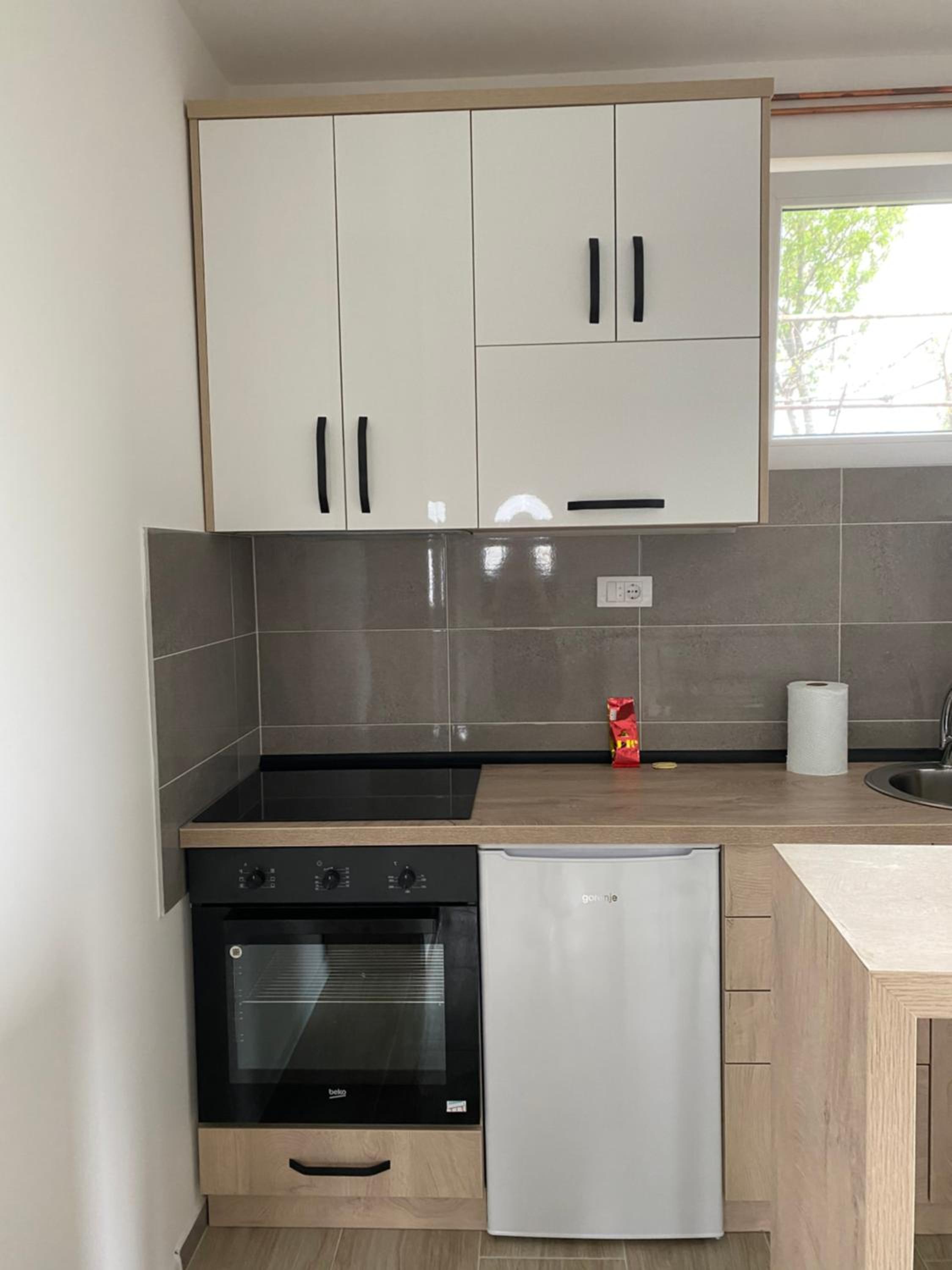 Apartman Milena Temerin view 5