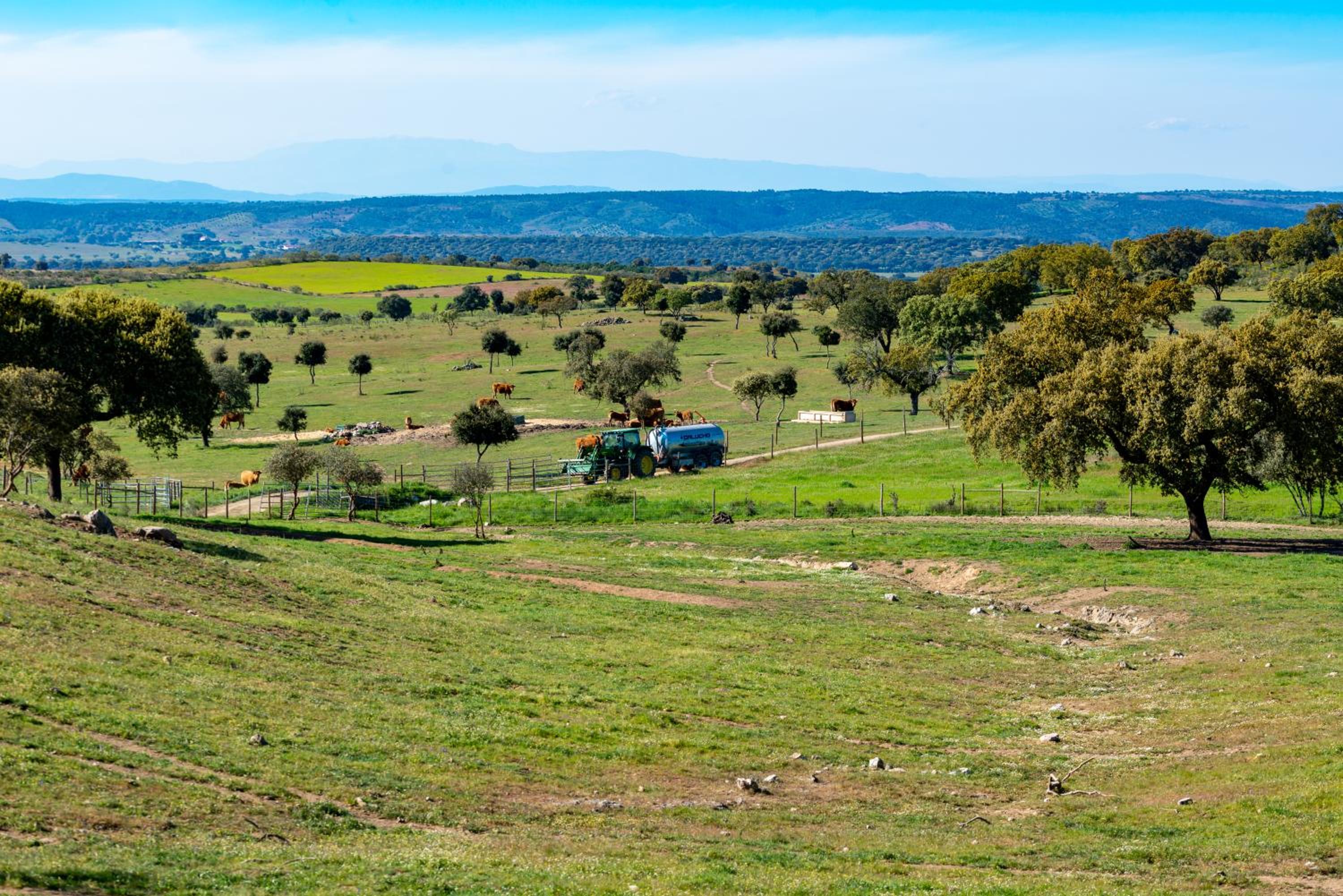 Moradia gémea 2 em Herdade Santa Marta view 2