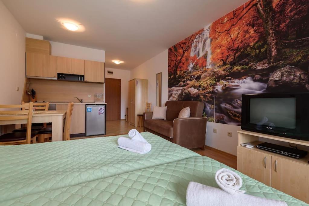 Aspen Heights Studio 229