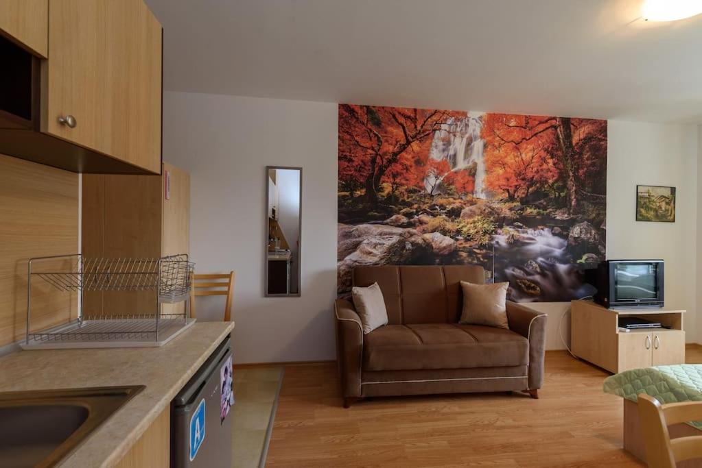 Aspen Heights Studio 229