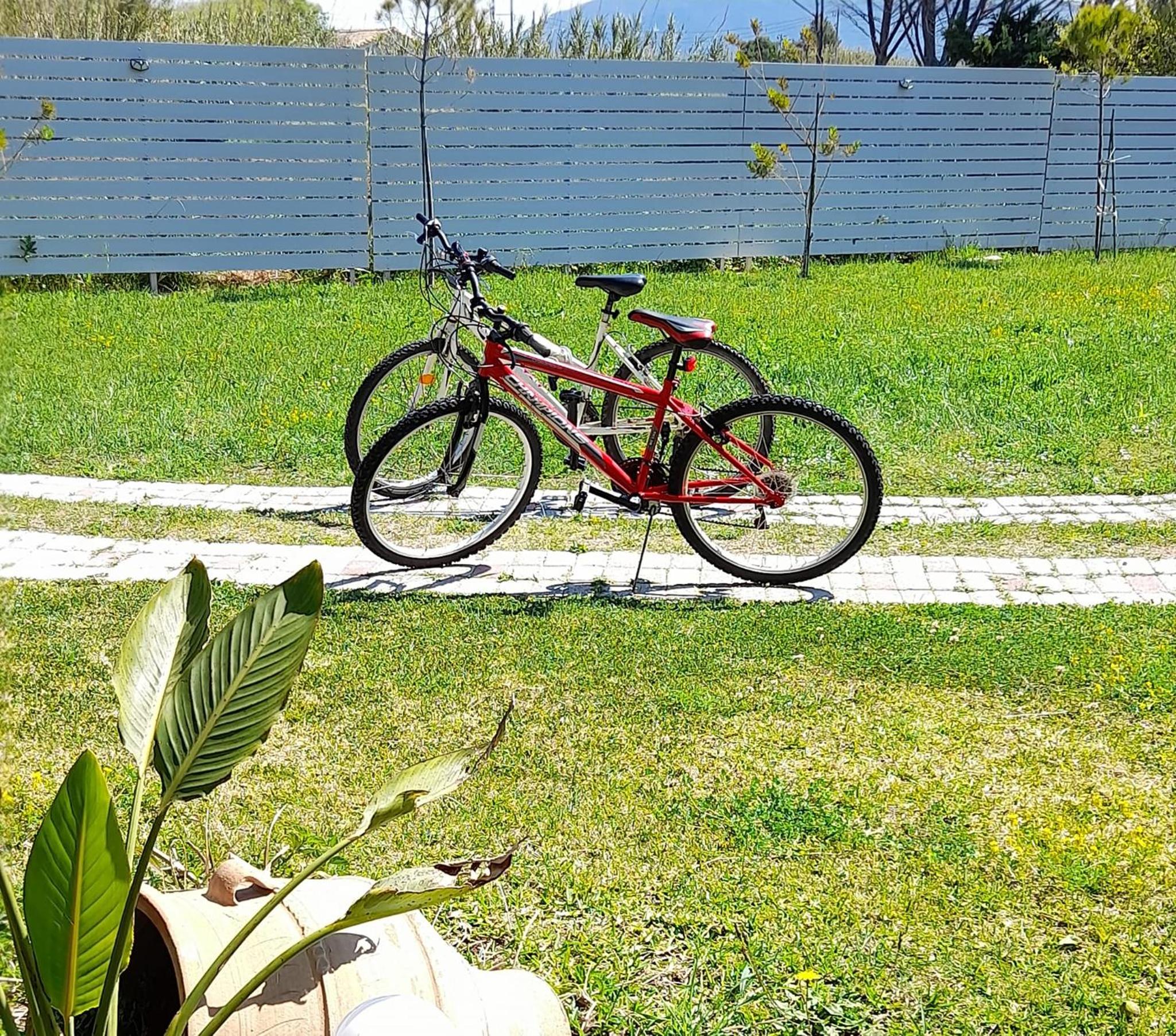 Photo 15