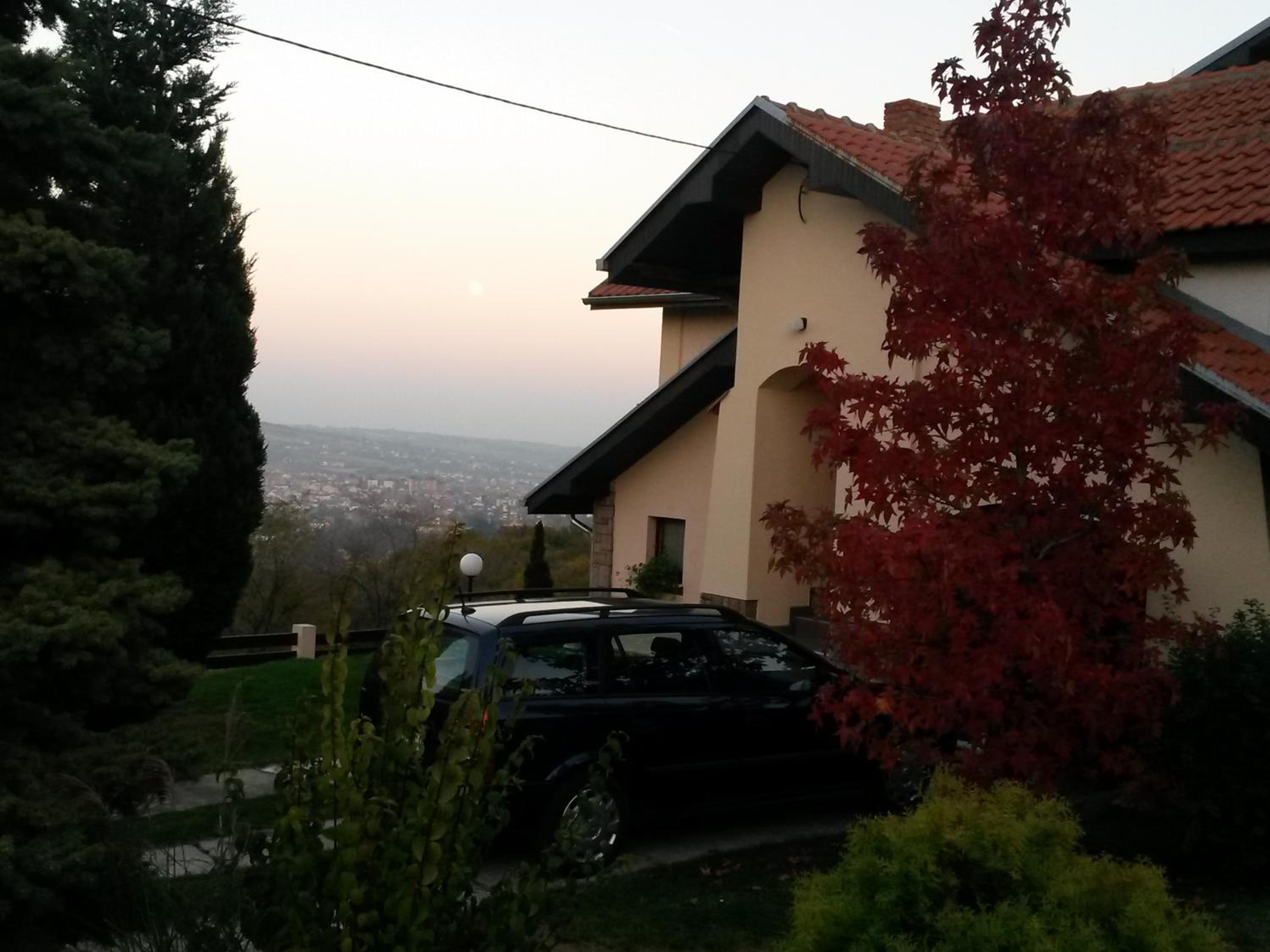 Photo 50