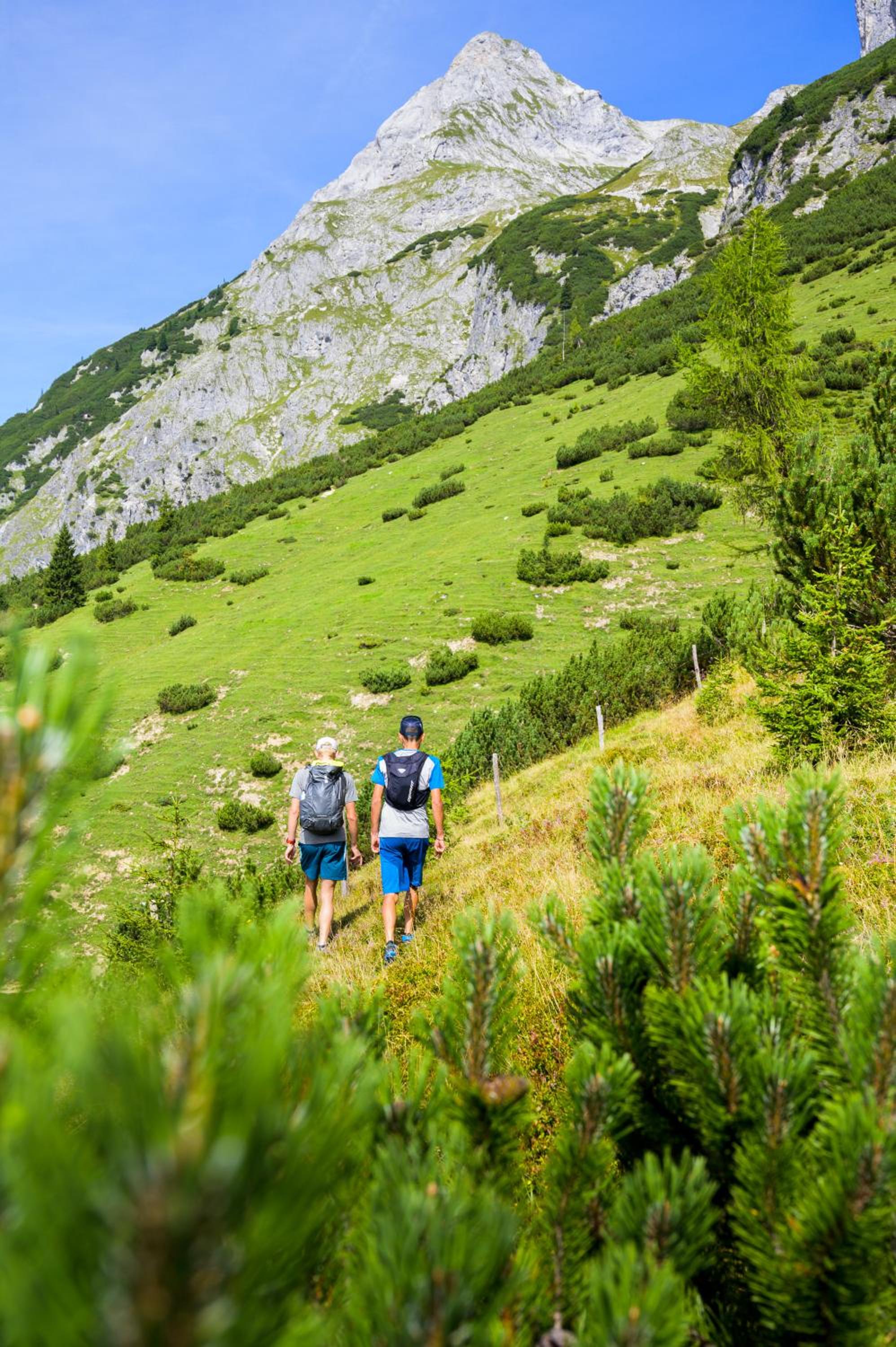 Alpen Appartements Oberlehengut - keine Haustiere - allergikerfreundlich