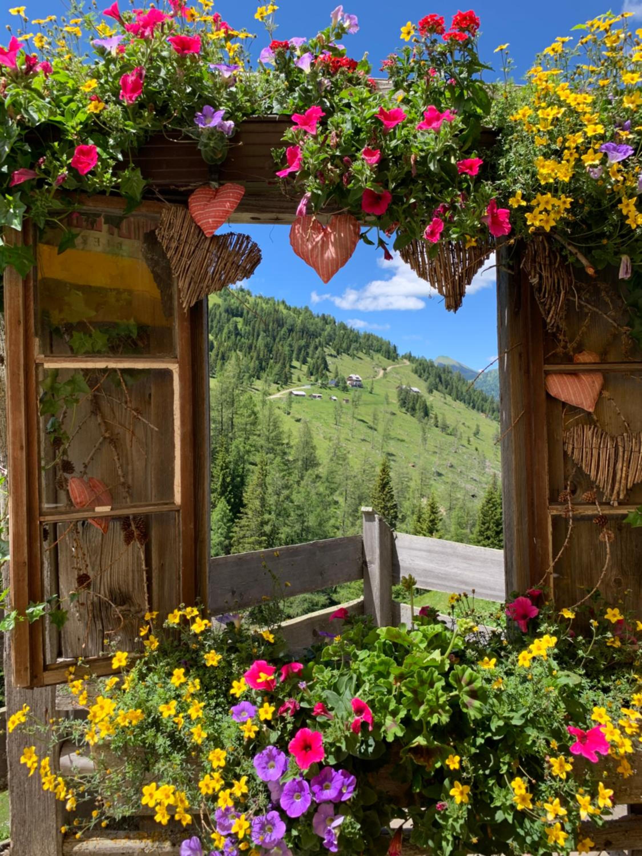 Perau in Gmünd