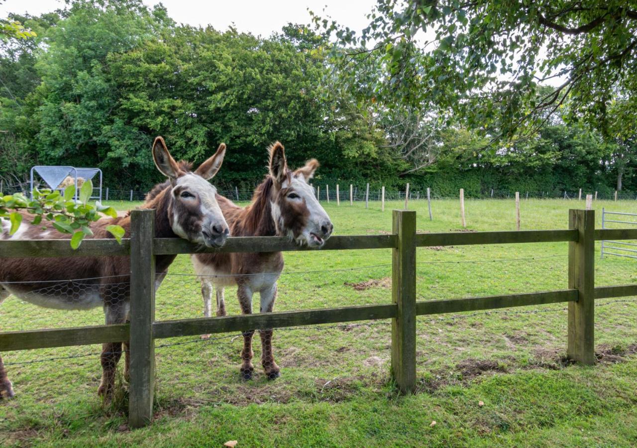 1 Bed in Rolvenden oc-tn612