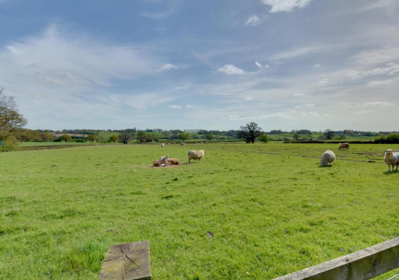 1 Bed in Rolvenden oc-tn612