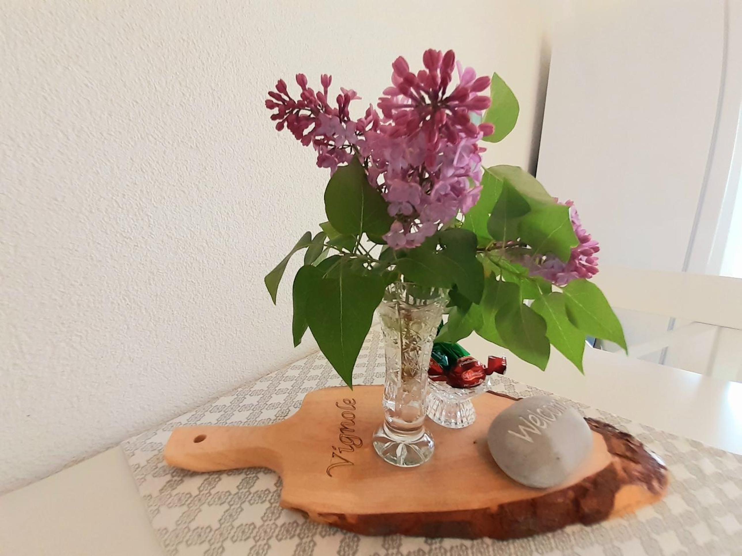 Apartment Vignole