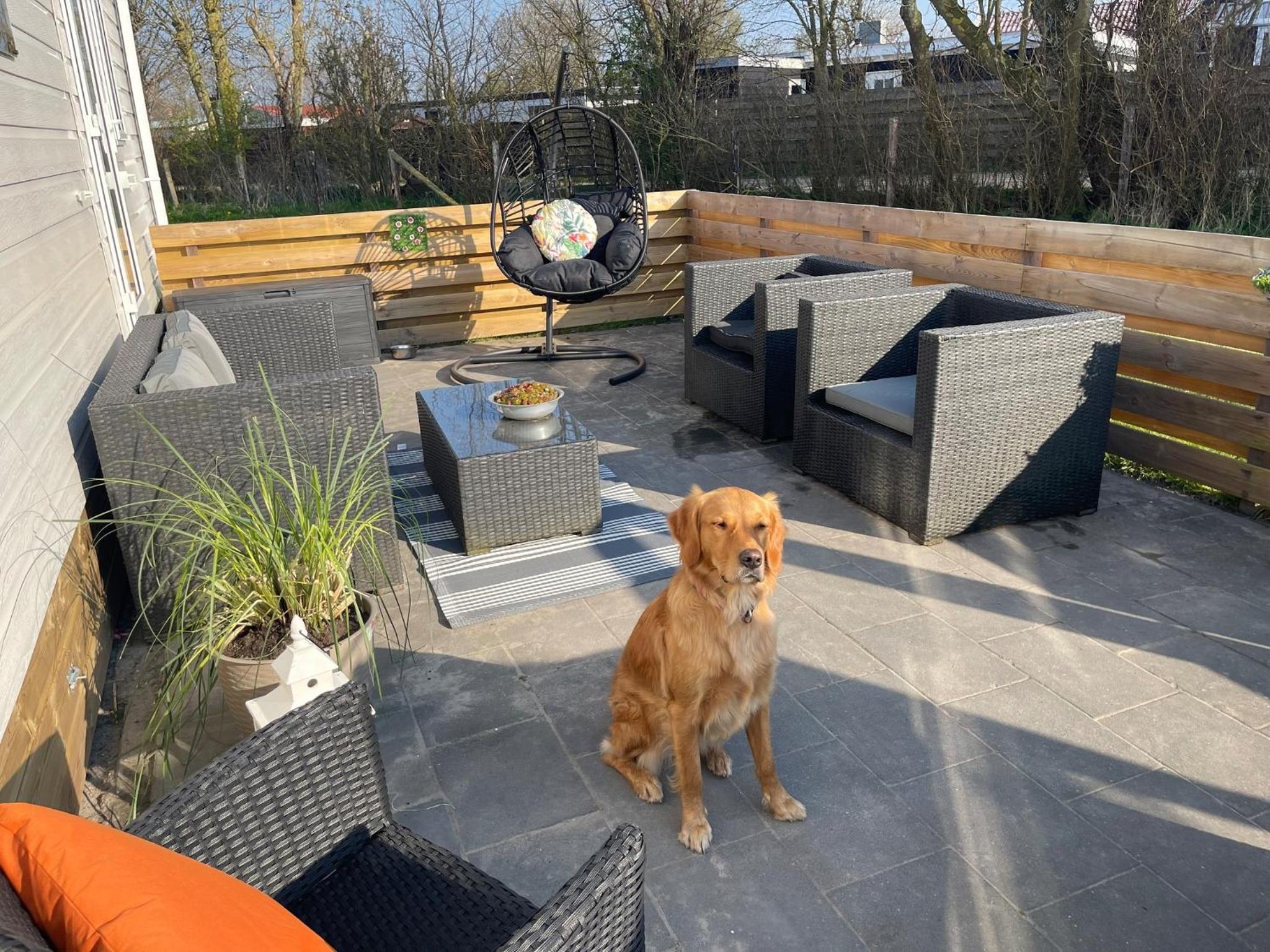 Traumlage neues Ferienhaus Nr45 Meerblick und Meerlage, eingezäunt uWindfang view 2