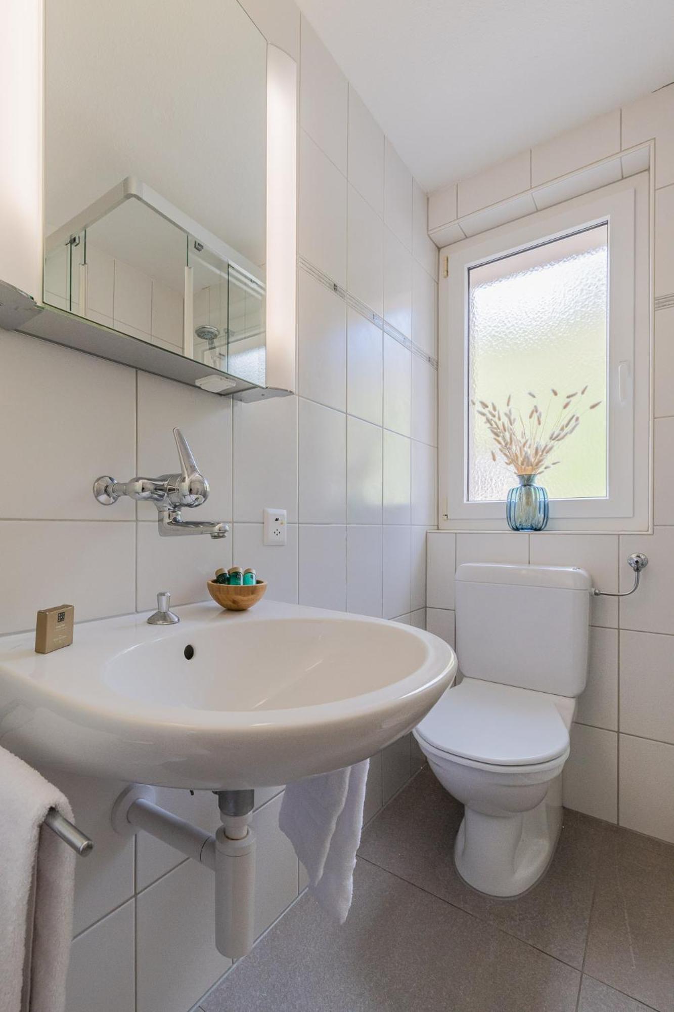 The Eiger Express Apartment - GRINDELHOMES