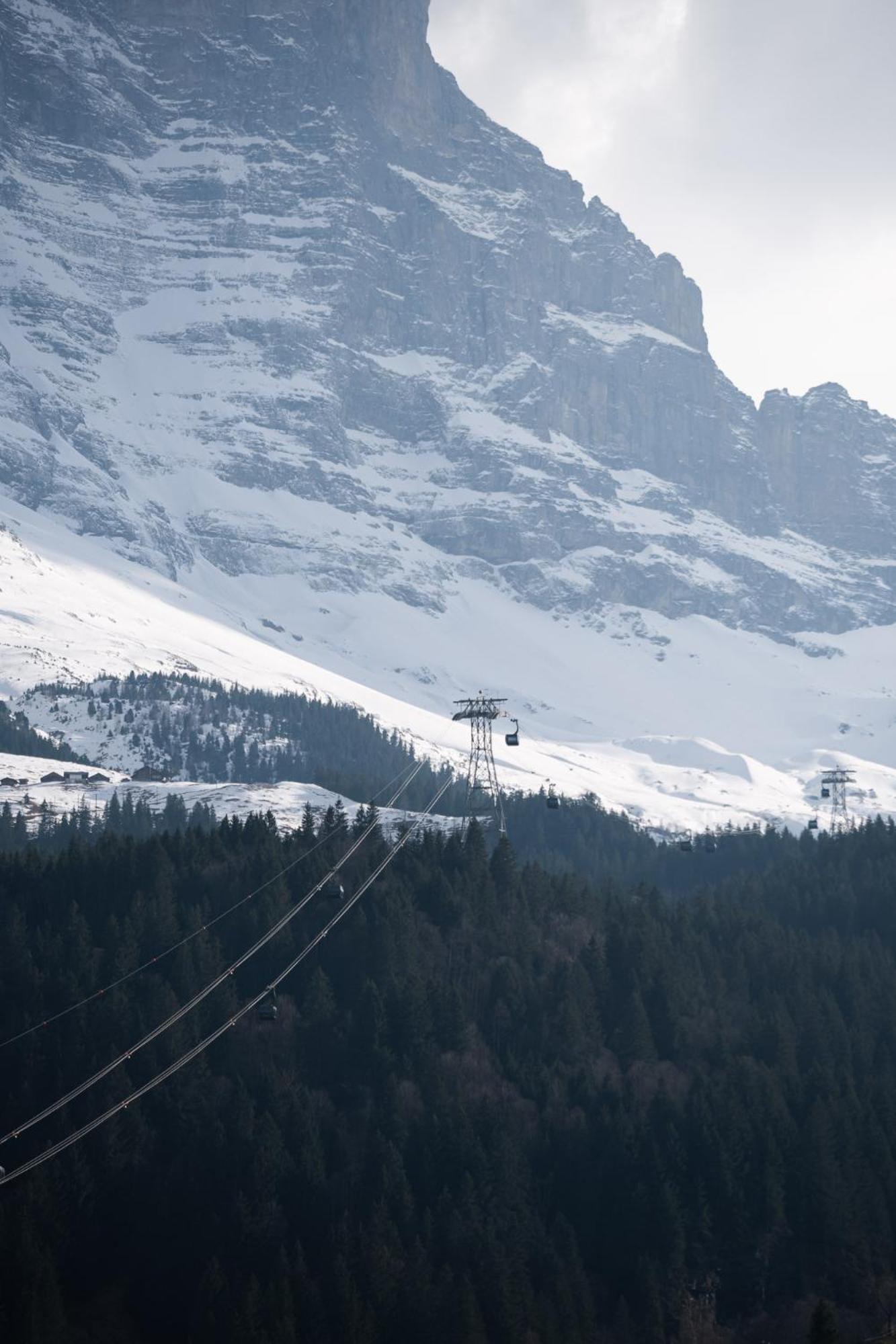The Eiger Express Apartment - GRINDELHOMES