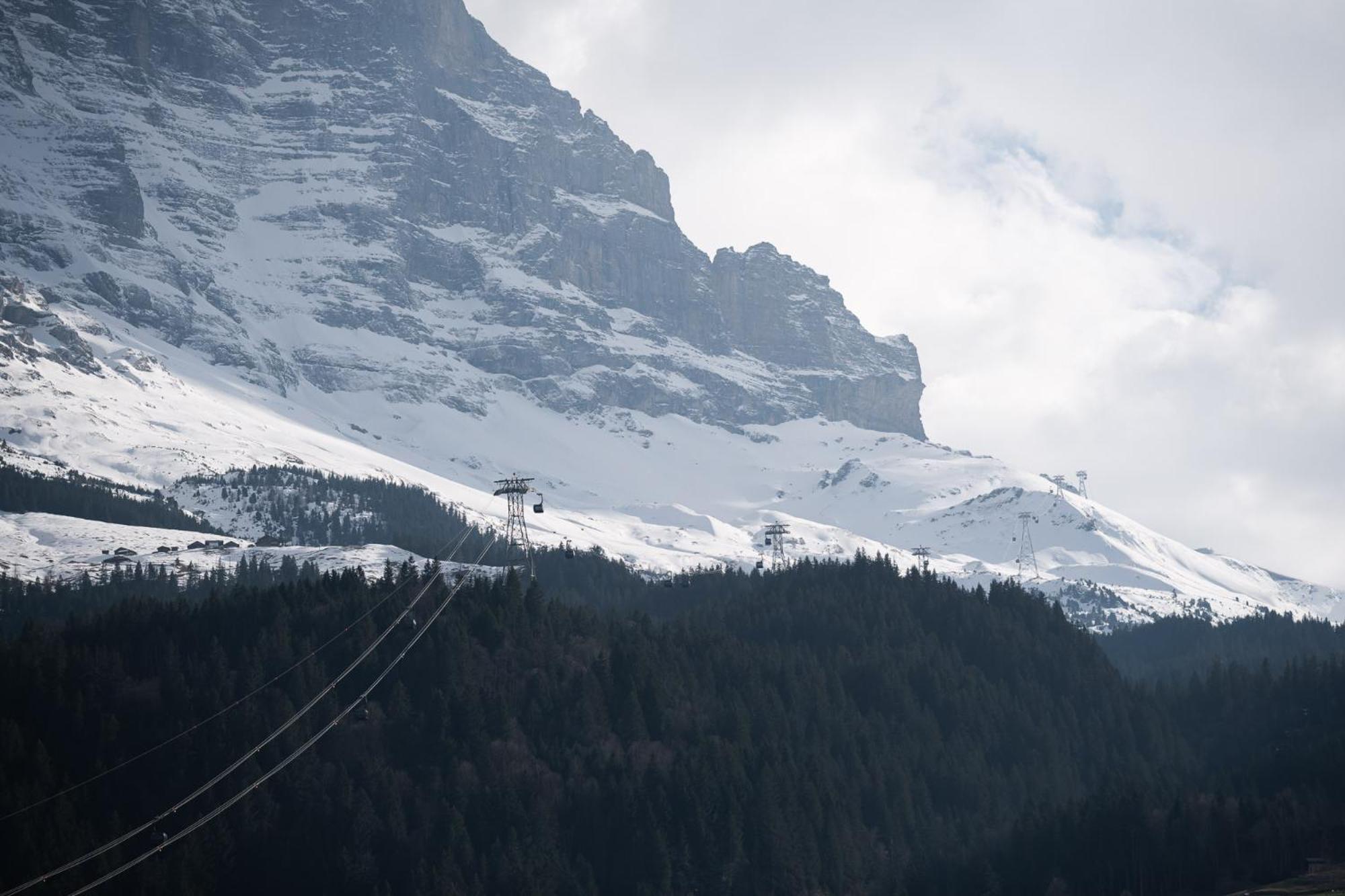 The Eiger Express Apartment - GRINDELHOMES