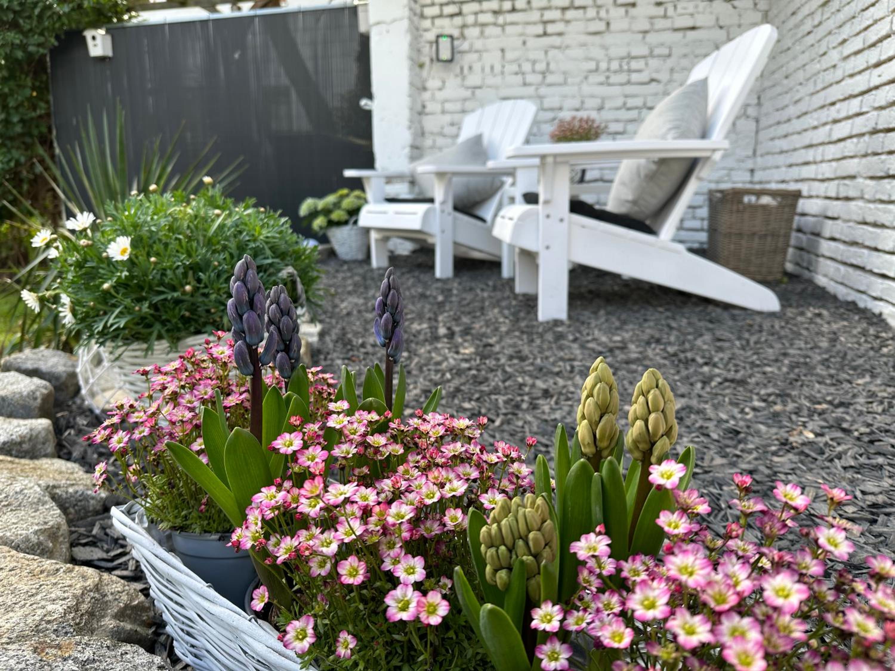 Remise-Berlin-Grünau your cozy and comfortable home to stay for up to 6 people between Müggelsee and Berlin city