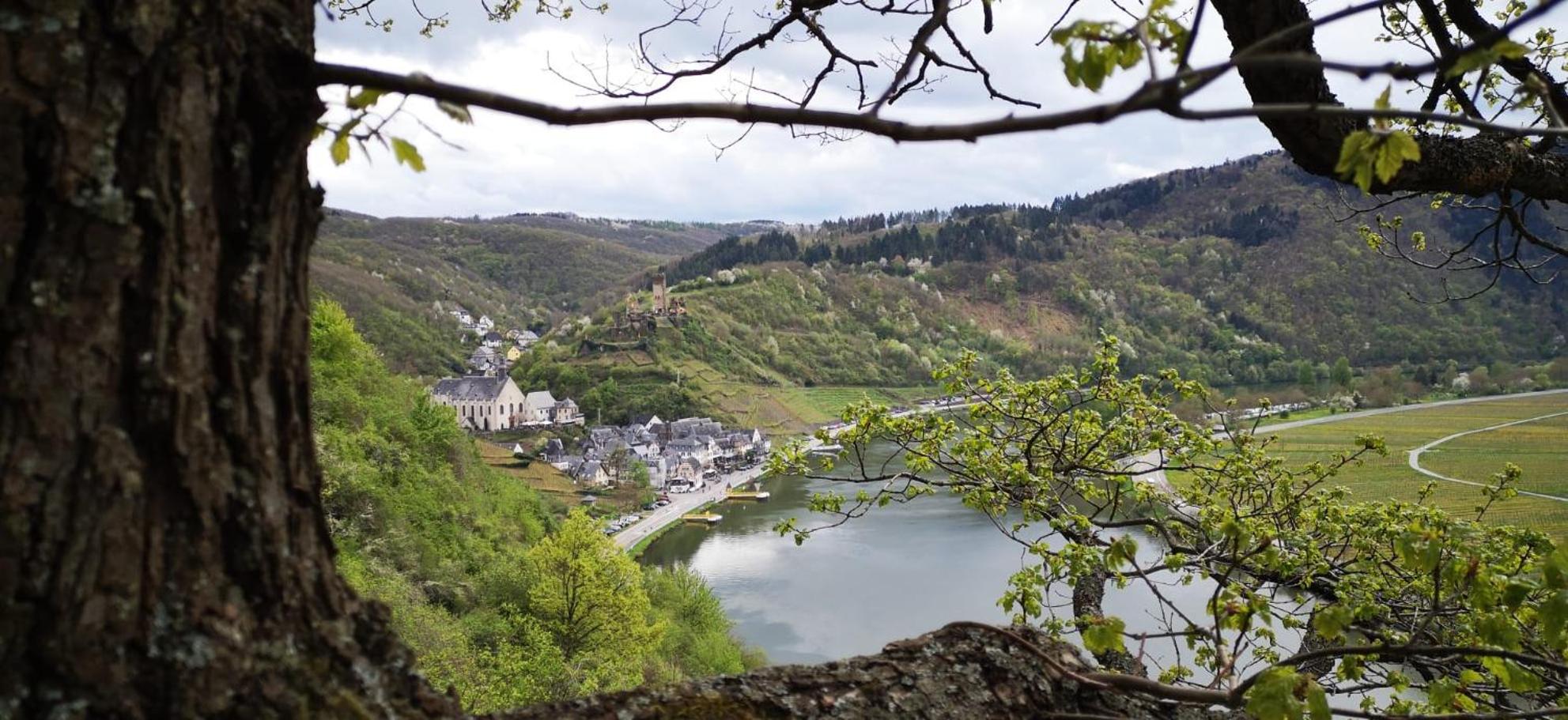 Ferienwohnungen Am Bruttiger Moselsteig