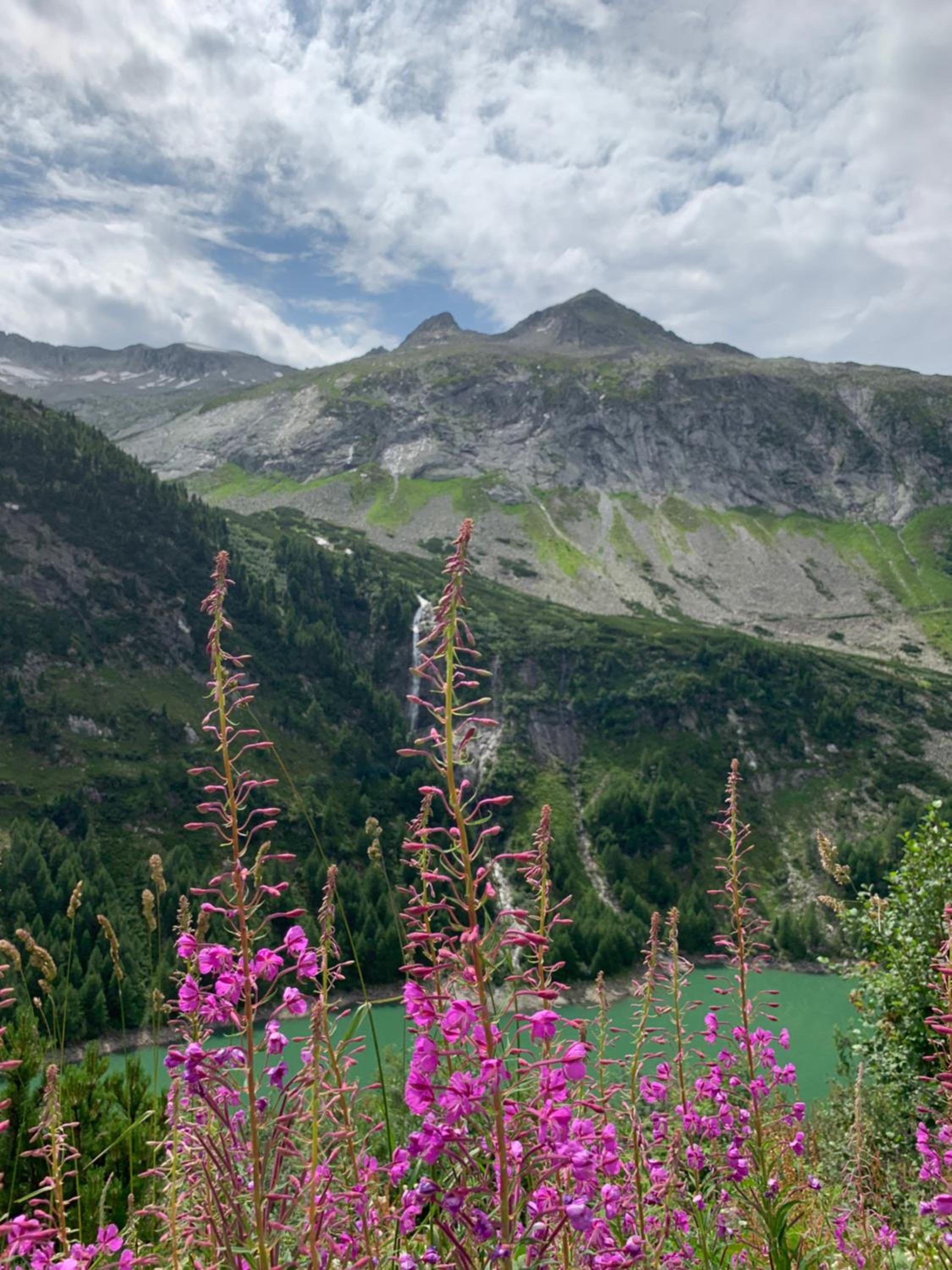 Perau in Gmünd