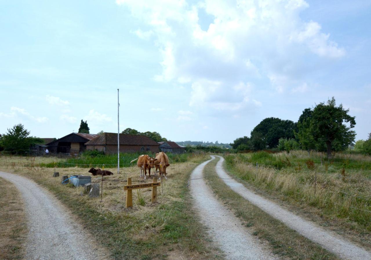 Photo 19