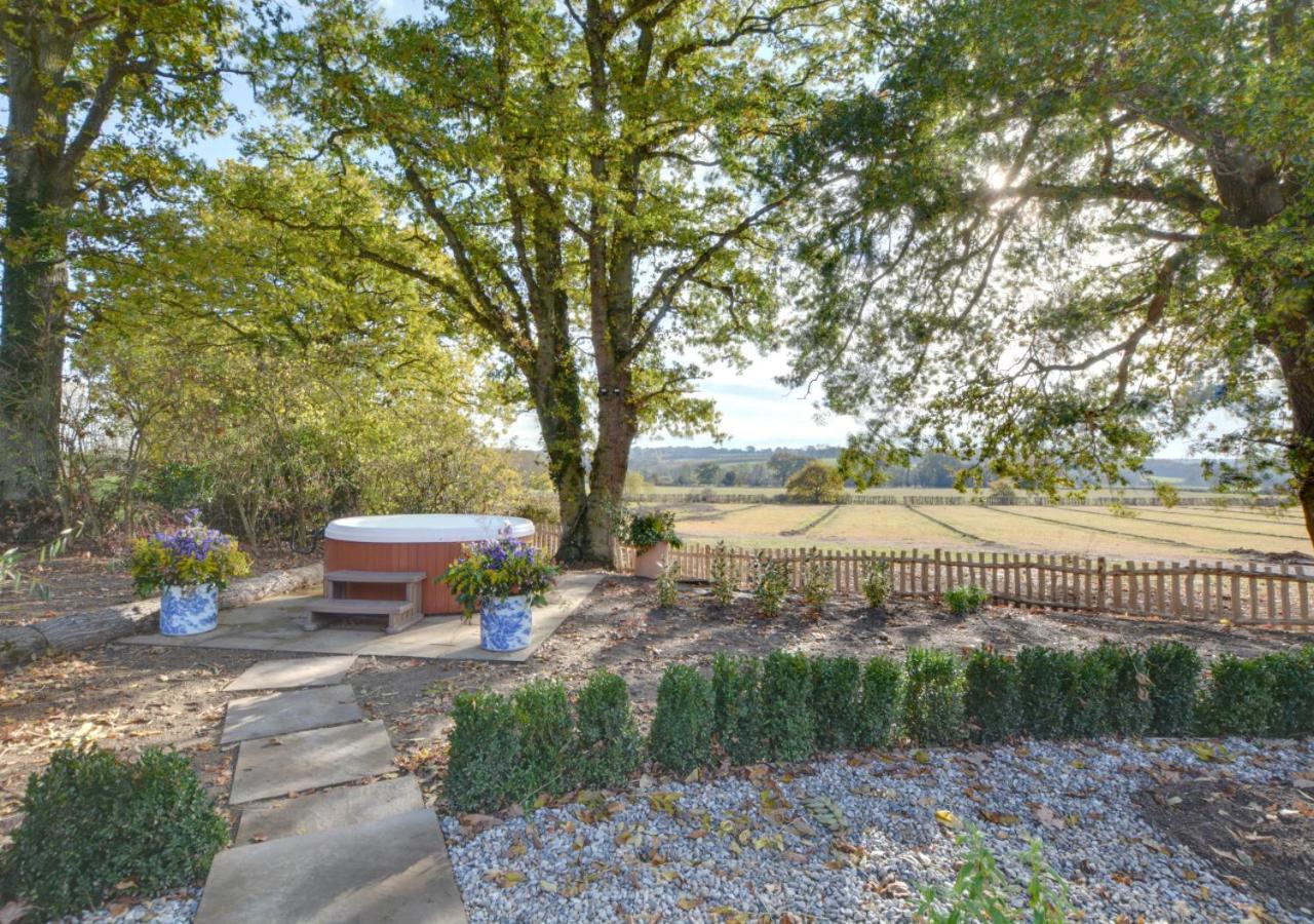 Vineyard Hollow