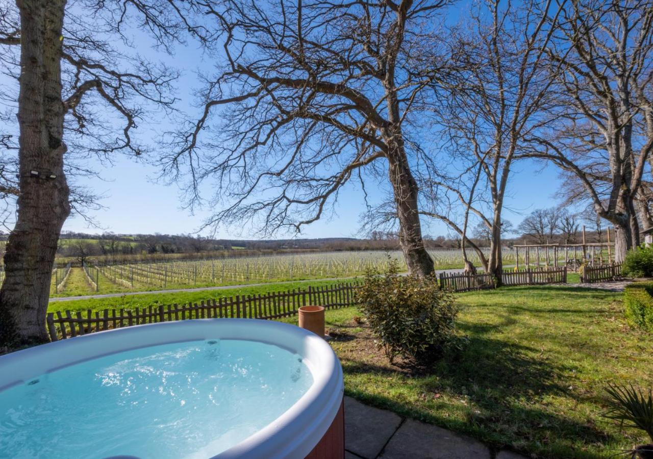 Vineyard Hollow