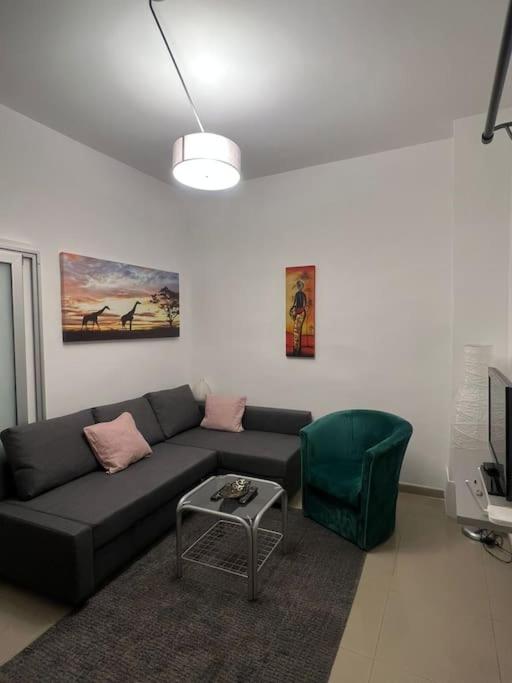 Sany Center Apartment