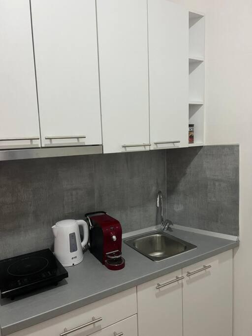 Sany Center Apartment