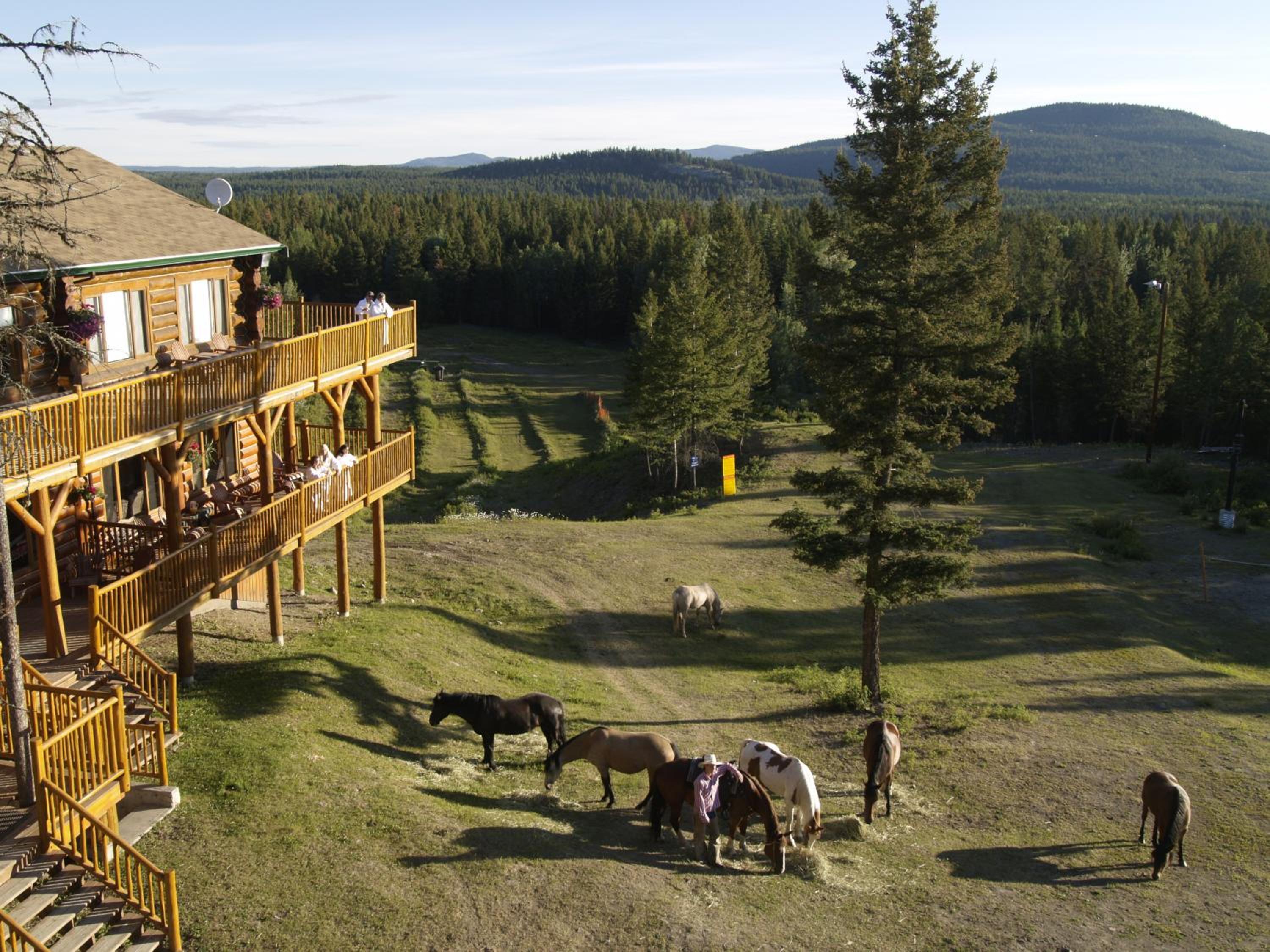 Spruce Hill Resort & Spa
