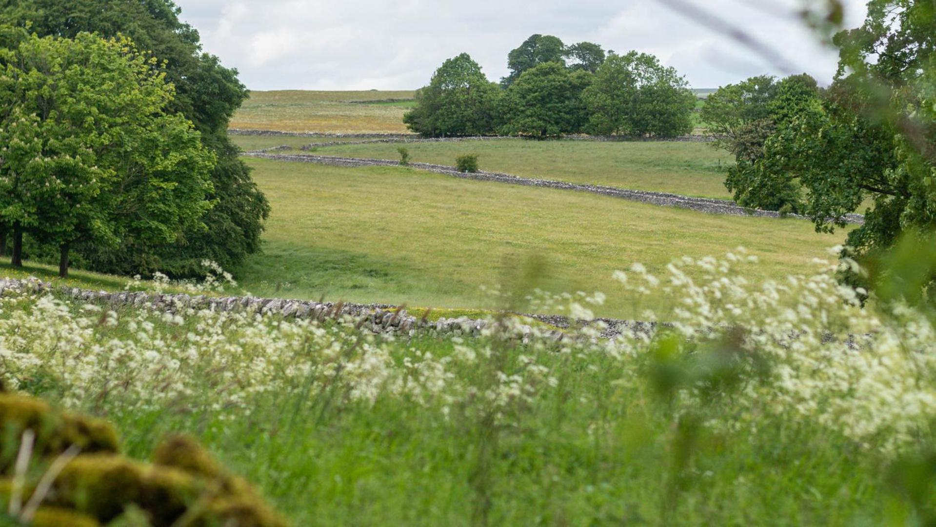 2 Bed in Bakewell oc-dcshel