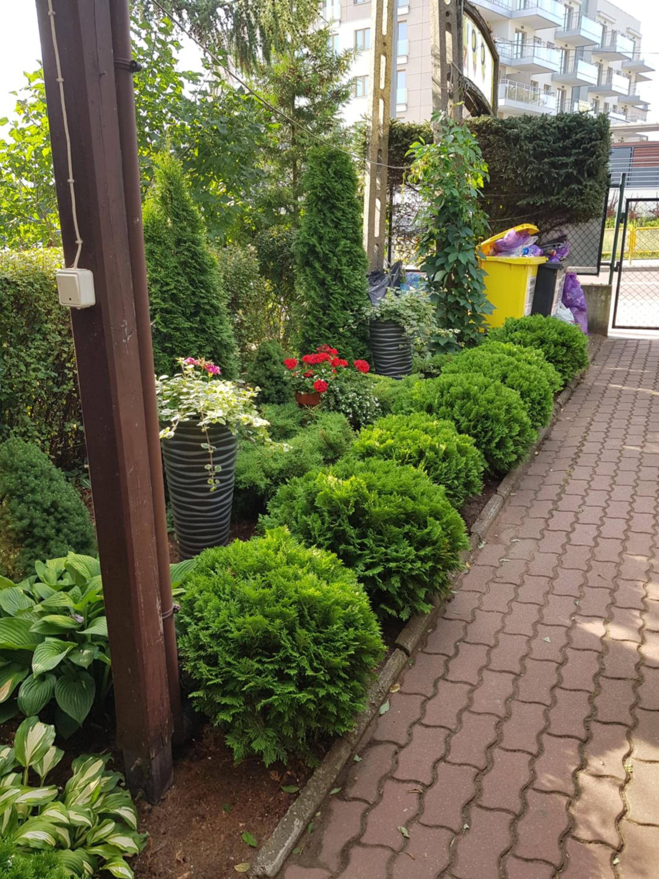 Apartamenty, Pokoje, Noclegi, " Skarpa" Wilkasy view 5