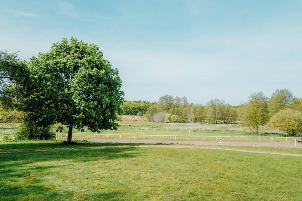 Cottage auf idyllischem Landsitz mit Parkanlage
