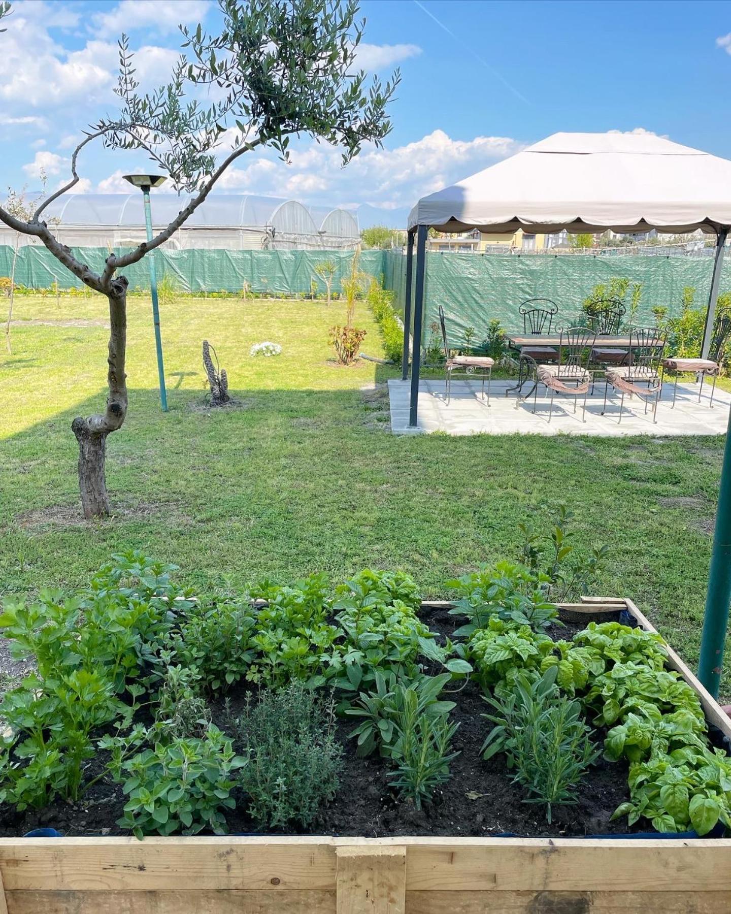 Casa Vacanze Paradise