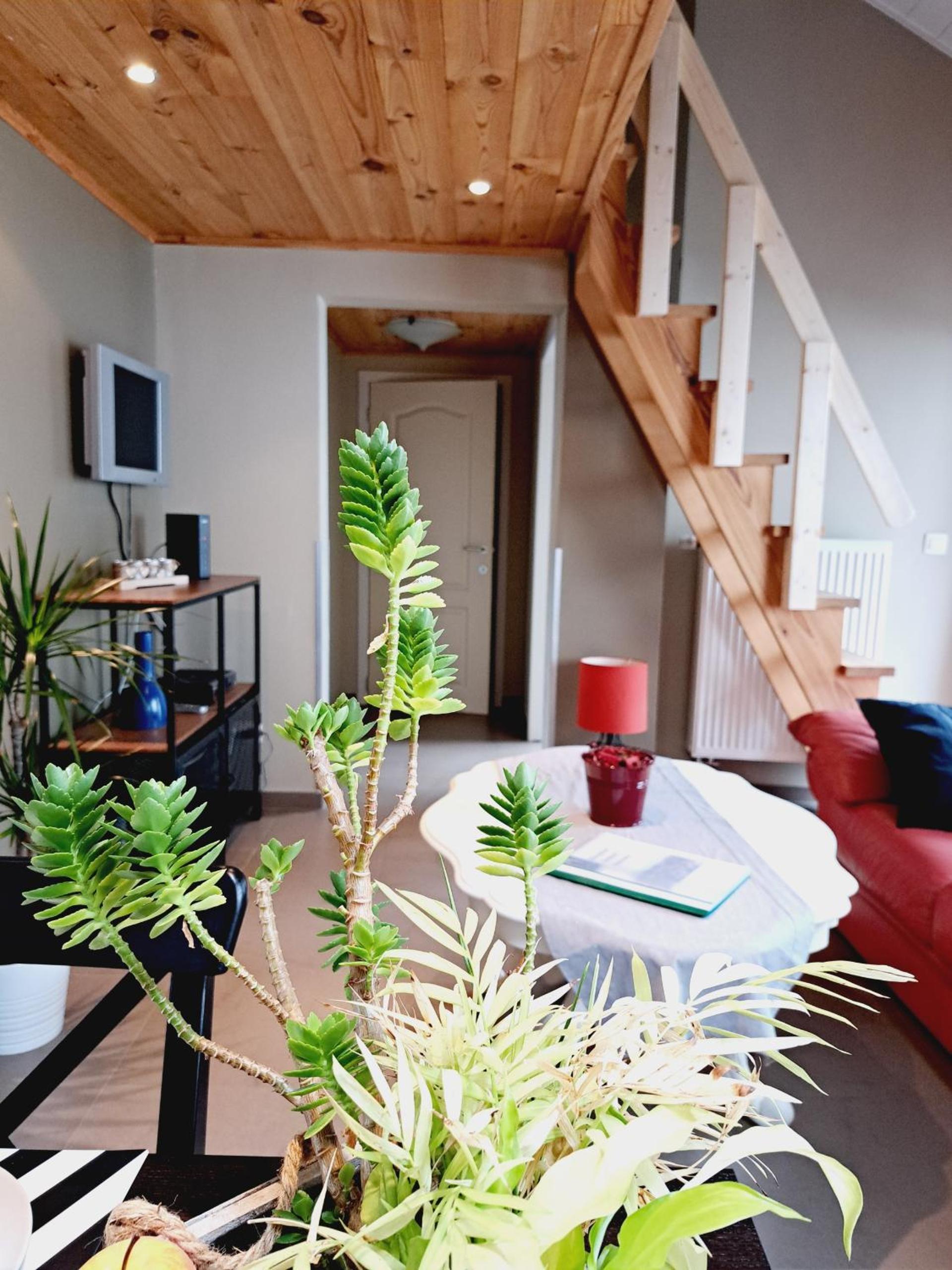 Au Pachis - Maison de vacances Houffalize