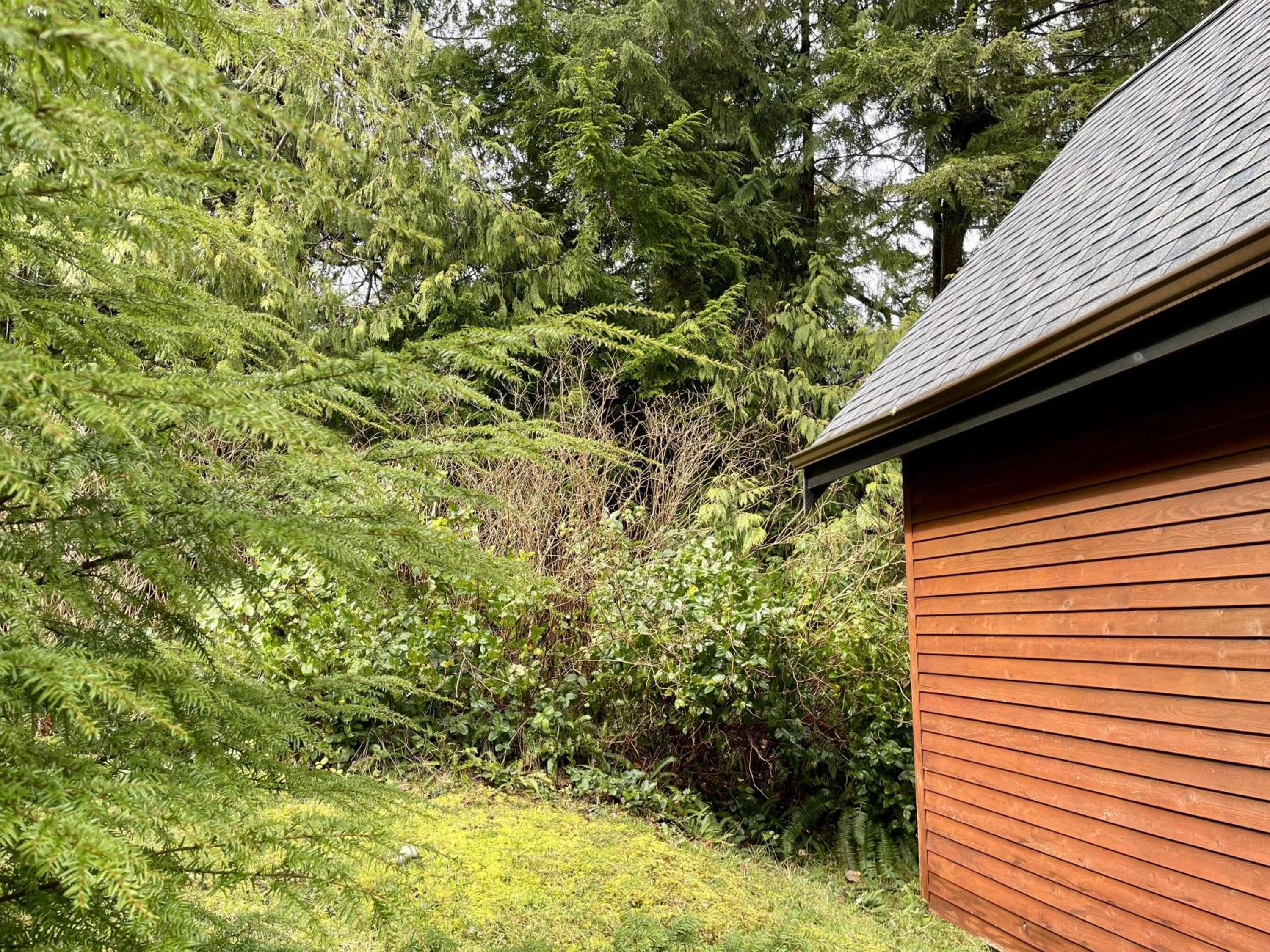 Great Cabin In Close To Walking Trails And Beaches - 13T