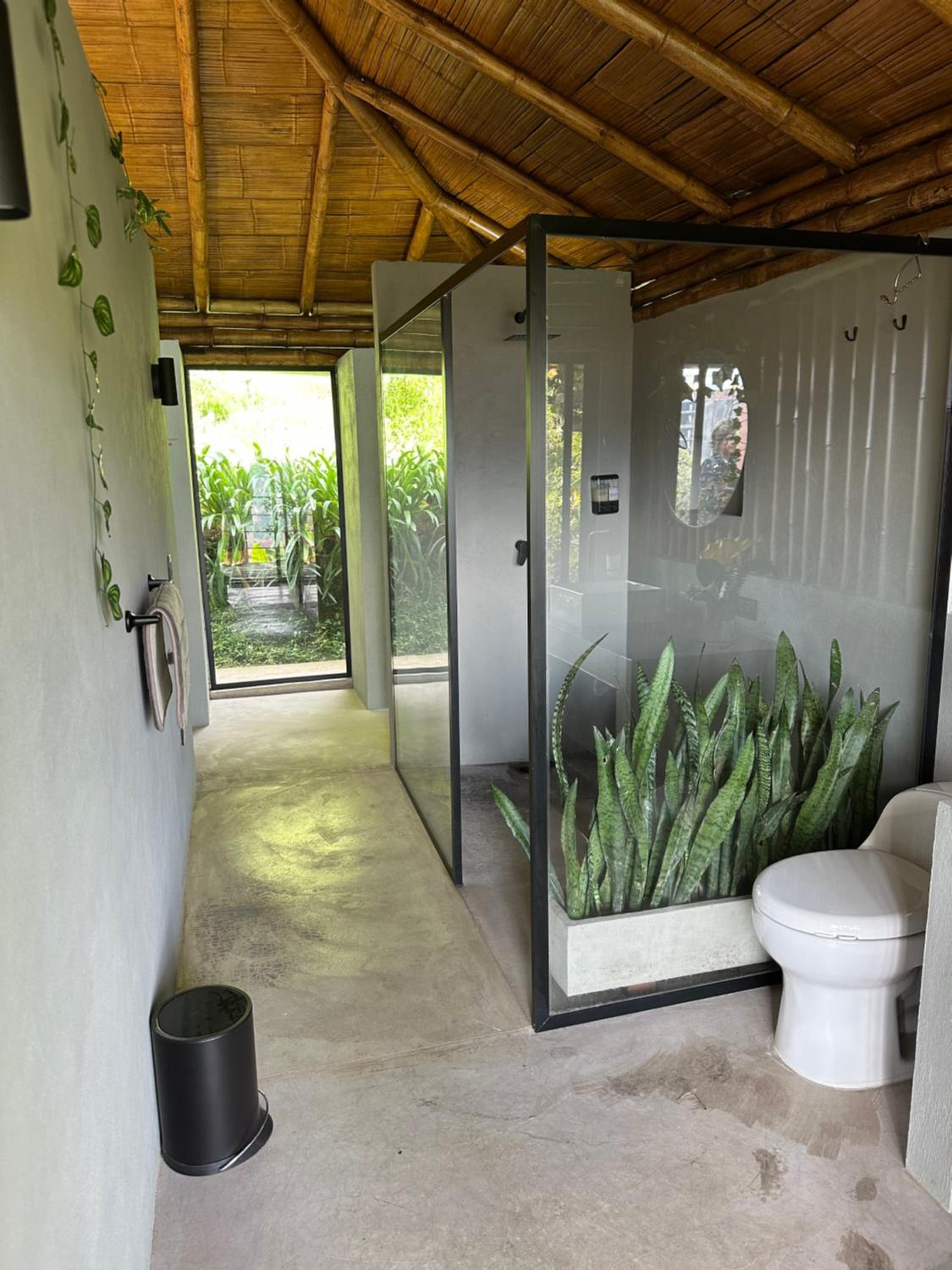 Loft bambu